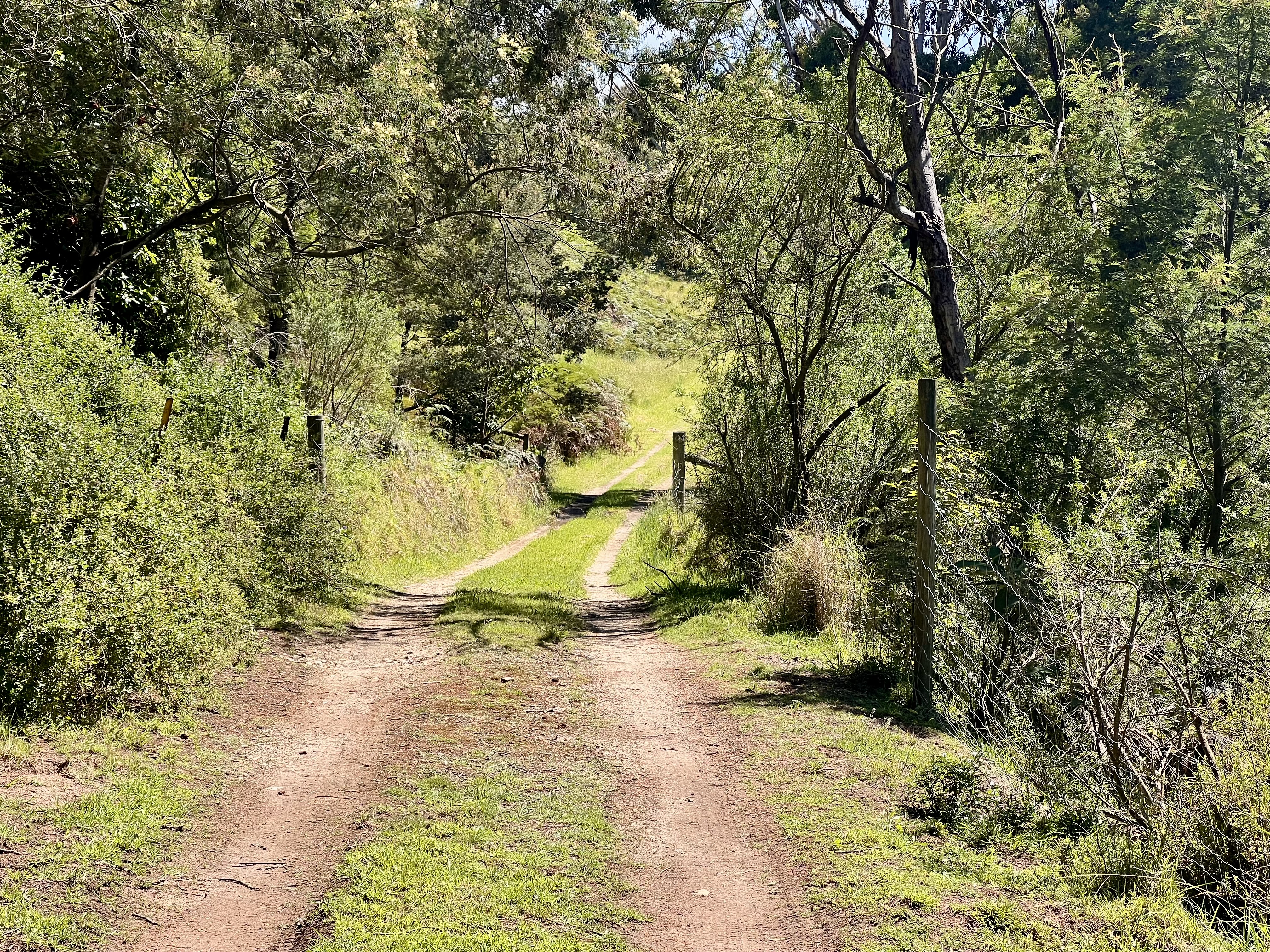 6 The Stockyard, Metung, Vic, 3904 - Image 10