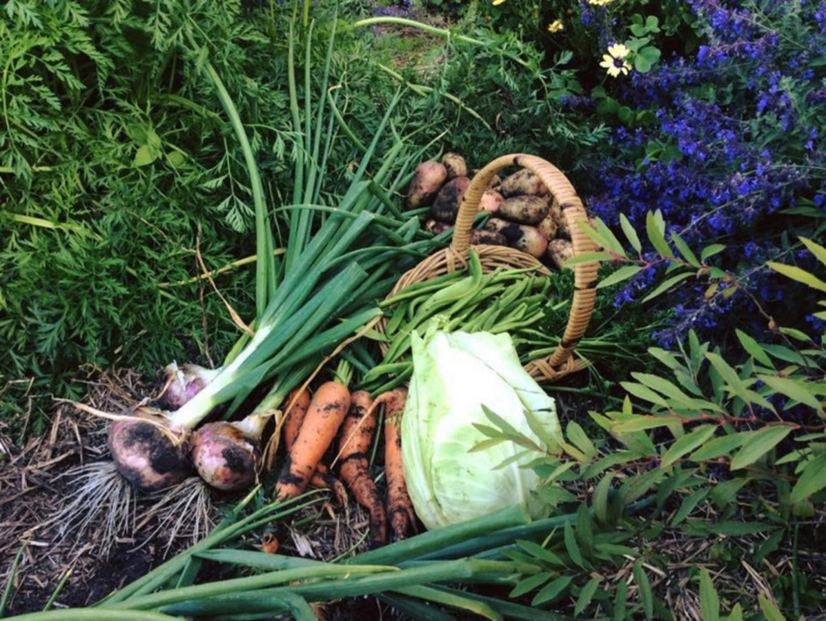 3-bedroom house at 26 Jermyn Street, Ulverstone, TAS 7315, , Tasmania