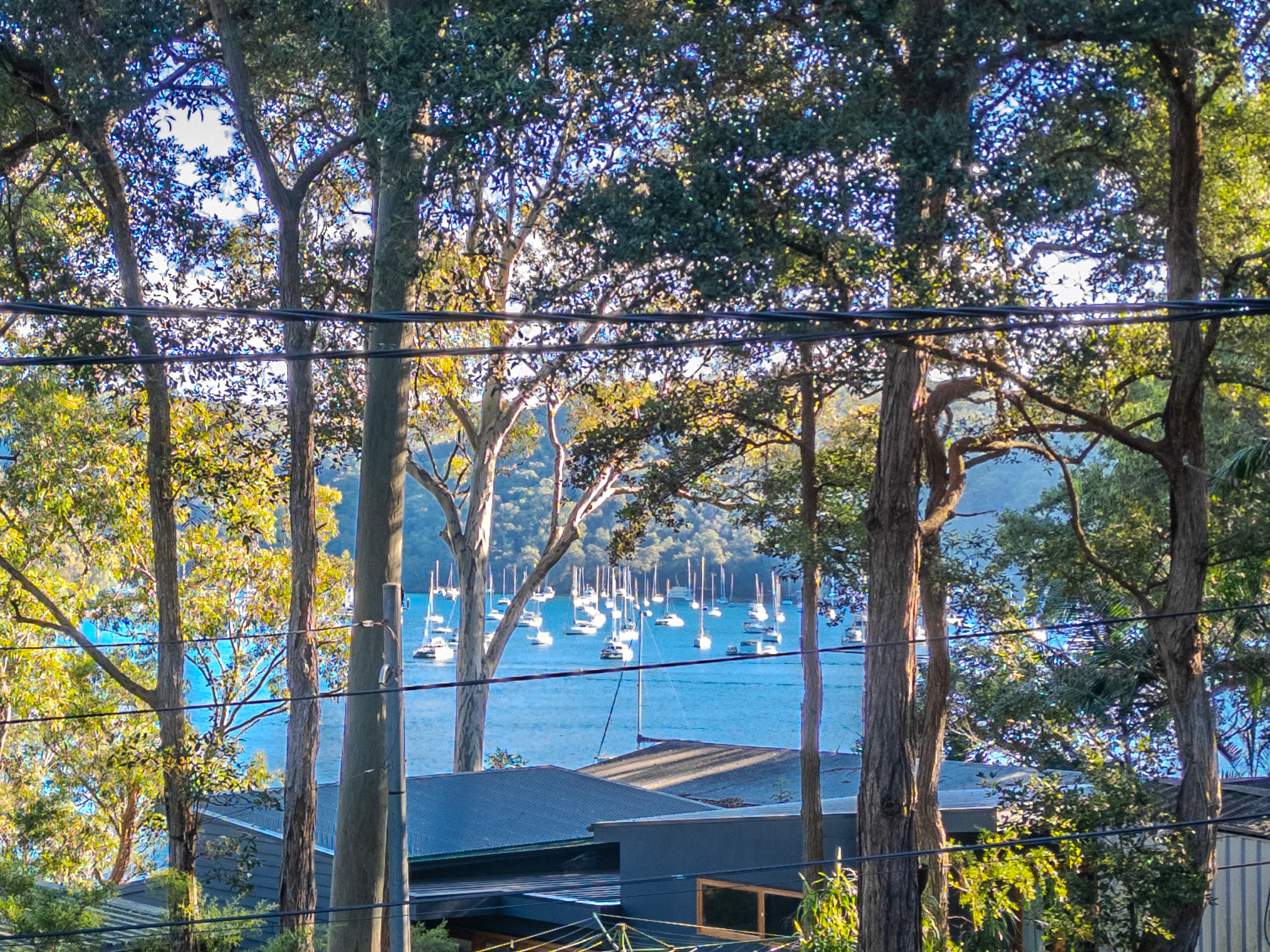 56 Richard Road, Scotland Island, Nsw, 2105 - Image 4