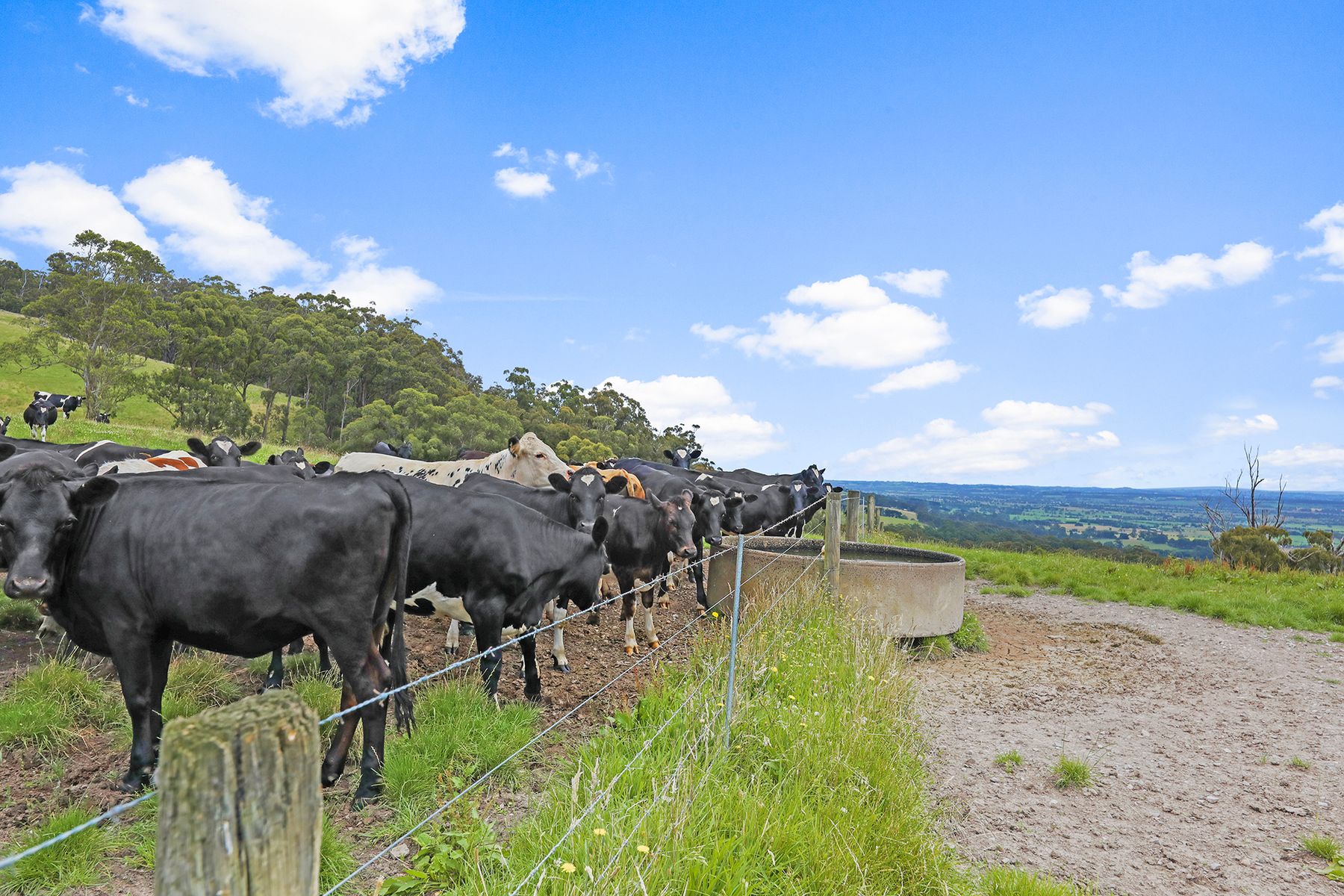 4-bedroom house at 244 Mirboo North-Trafalgar Road, Trafalgar South, VIC 3824, Baw Baw, Victoria