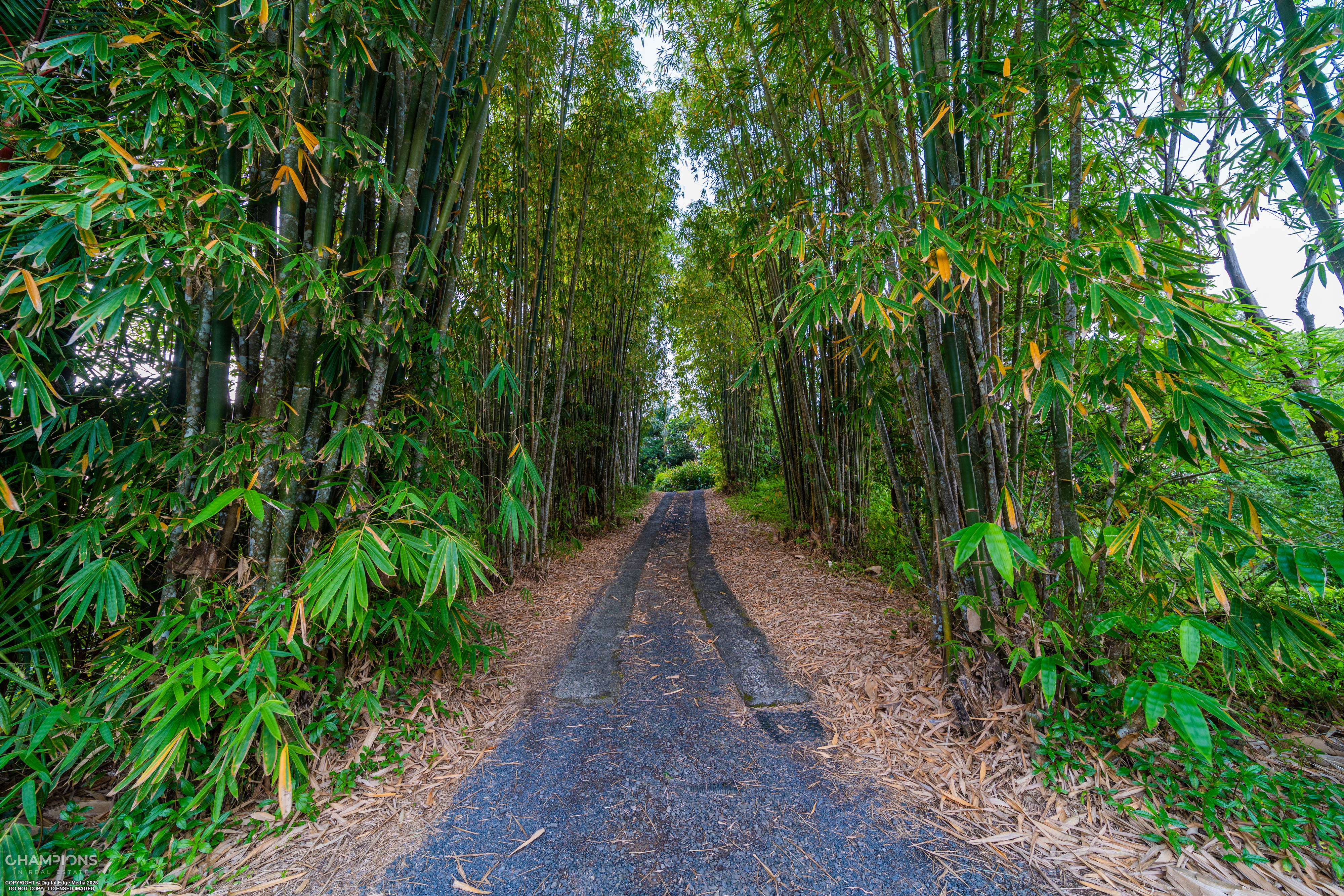 3-bedroom house at 390 Woopen Creek Road, Woopen Creek, QLD 4871, , Queensland