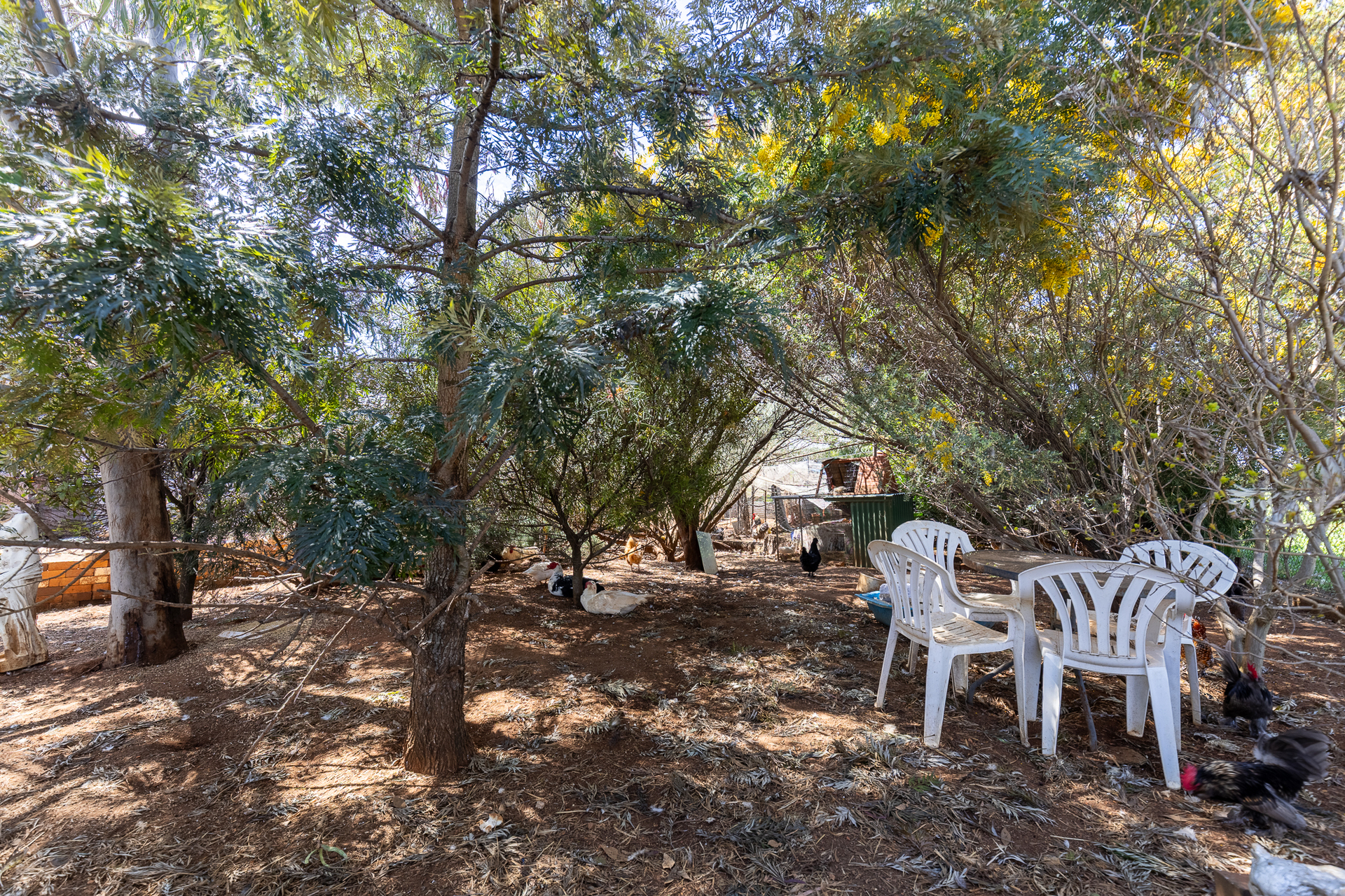 28 DIGILAH STREET, Dunedoo NSW 2844 - Image 1