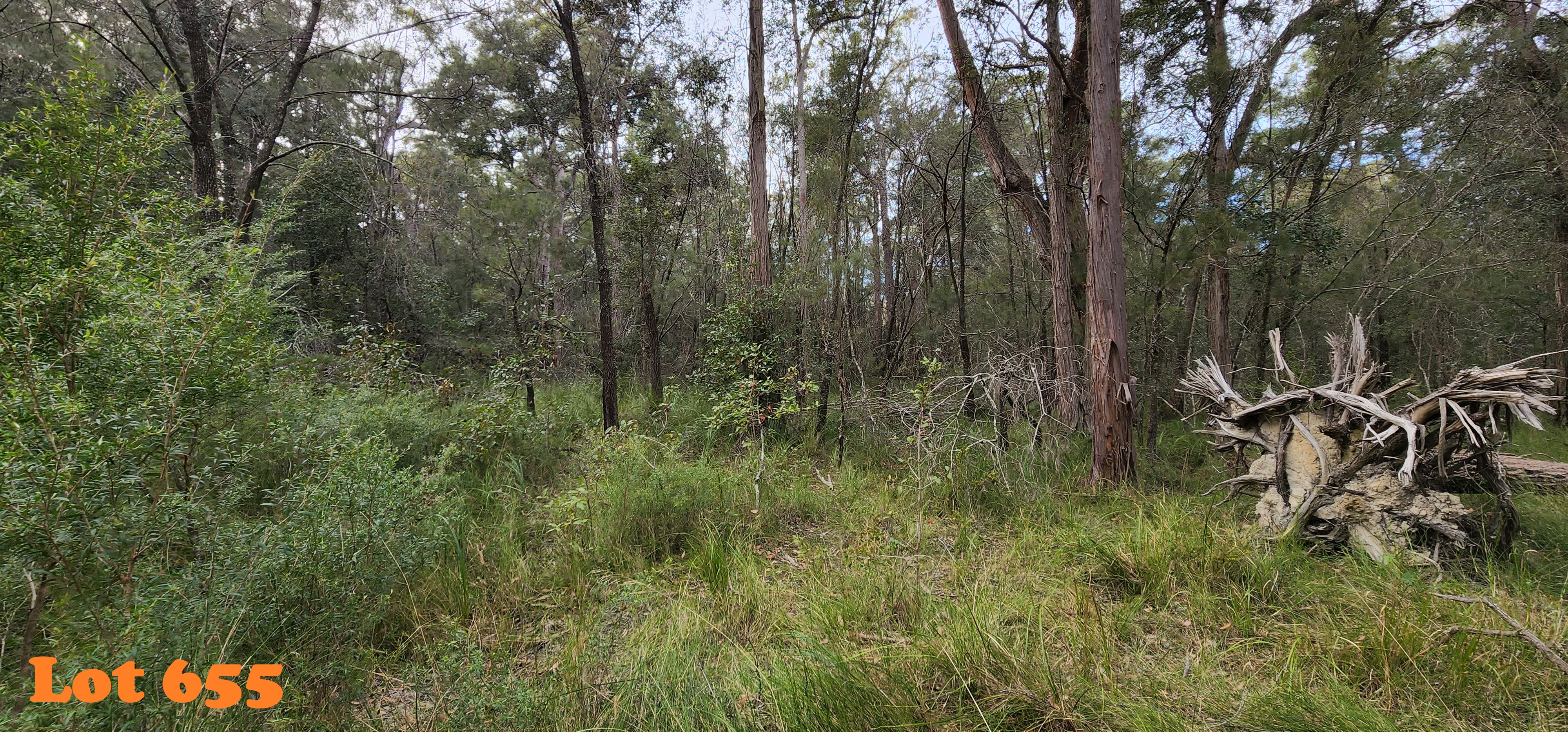 Lot 655,658,660-661, 663 Clarendon Cres, Basin View, Nsw, 2540 - Image 4