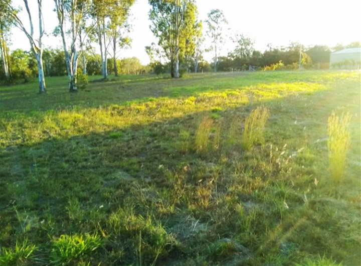 Lot 24 Paulin Park Drive, Tinana, Qld, 4650 - Image 4