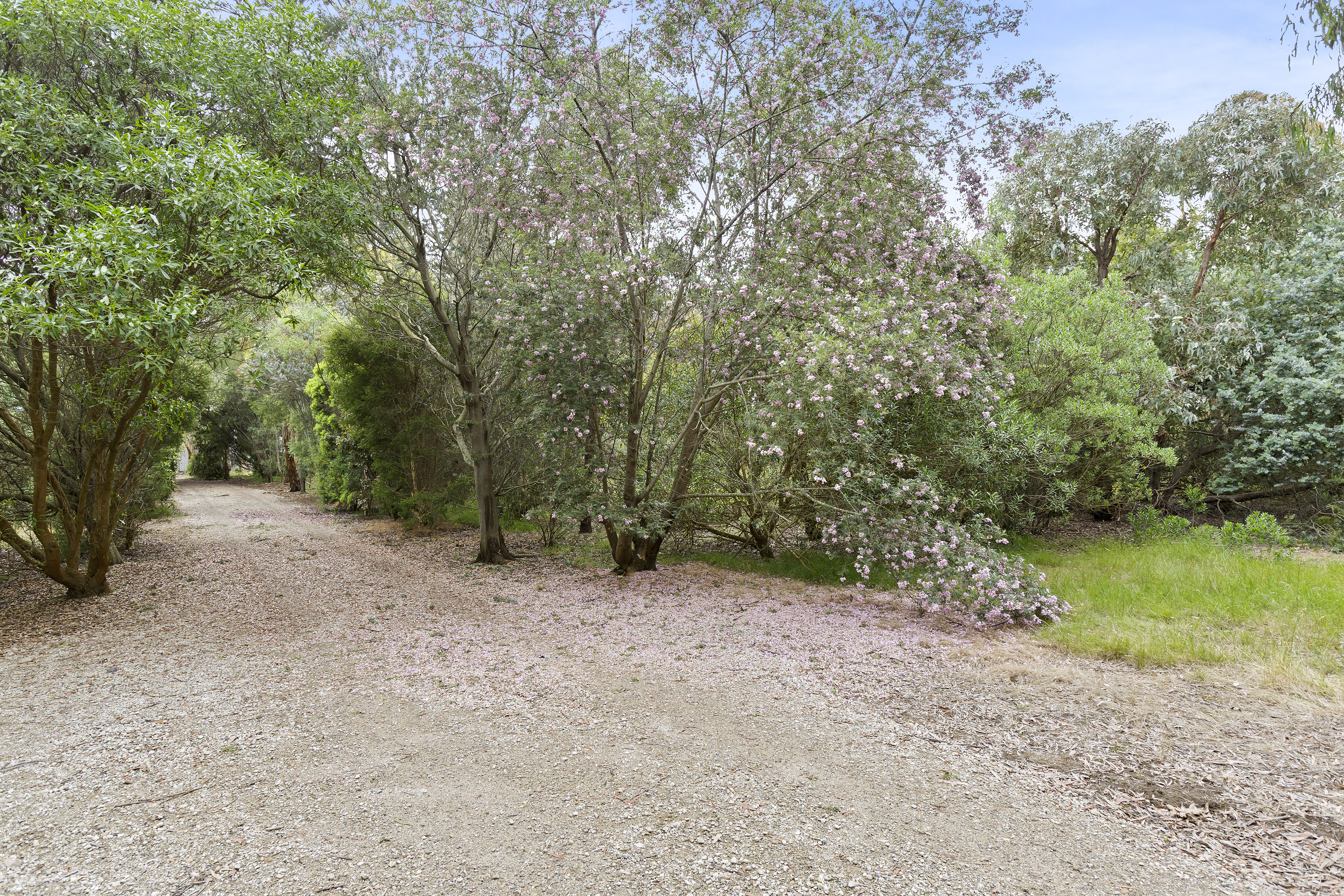 4-bedroom house at 545 Dangers Road, Gherang, VIC 3240, Surf Coast, Victoria