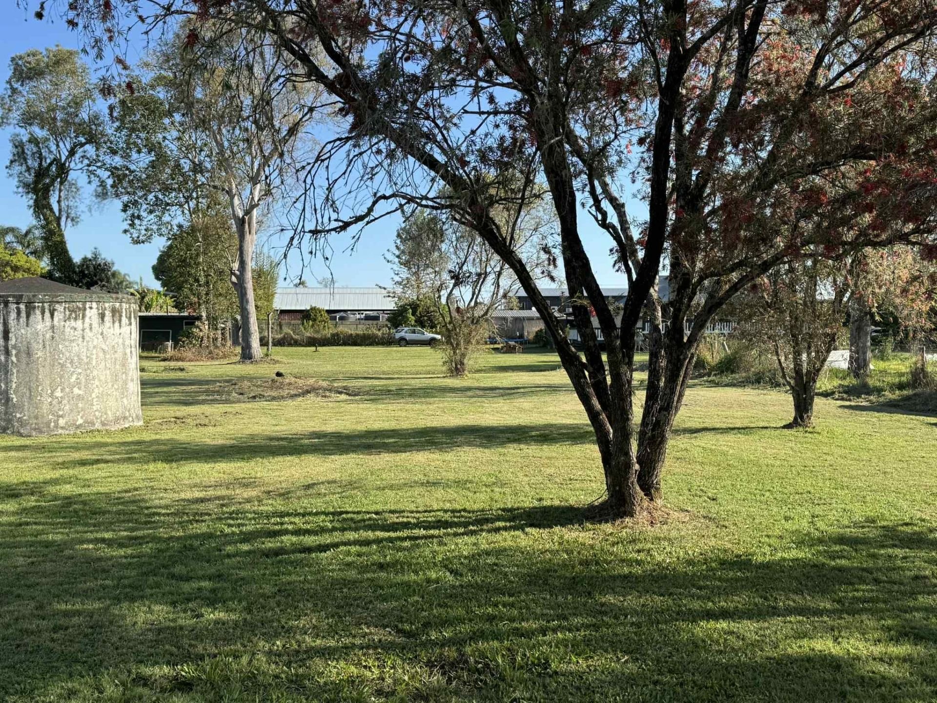 3-bedroom house at 4 PEARSE STREET, Rappville NSW 2469, Richmond Valley, New South Wales