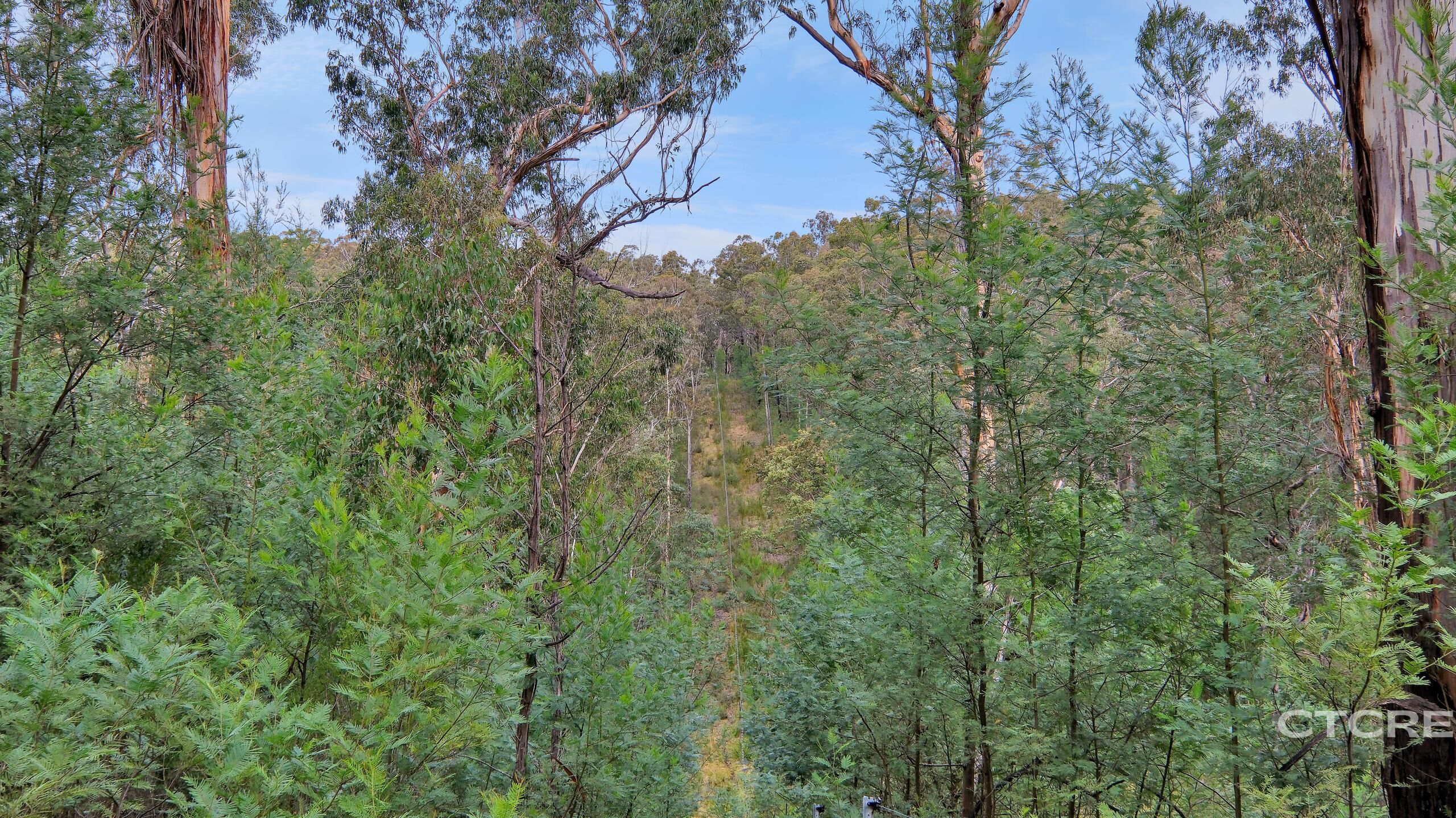 2-bedroom house at 1664 Wangarabell Road, Wangarabell, Vic, 3891, East Gippsland, Victoria