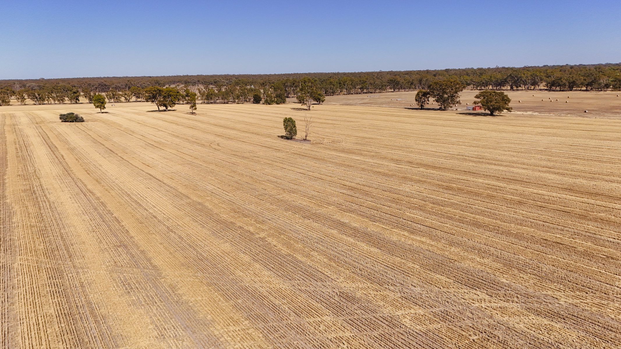 99 Winzar Lane, Goornong, Vic, 3557 - Image 4