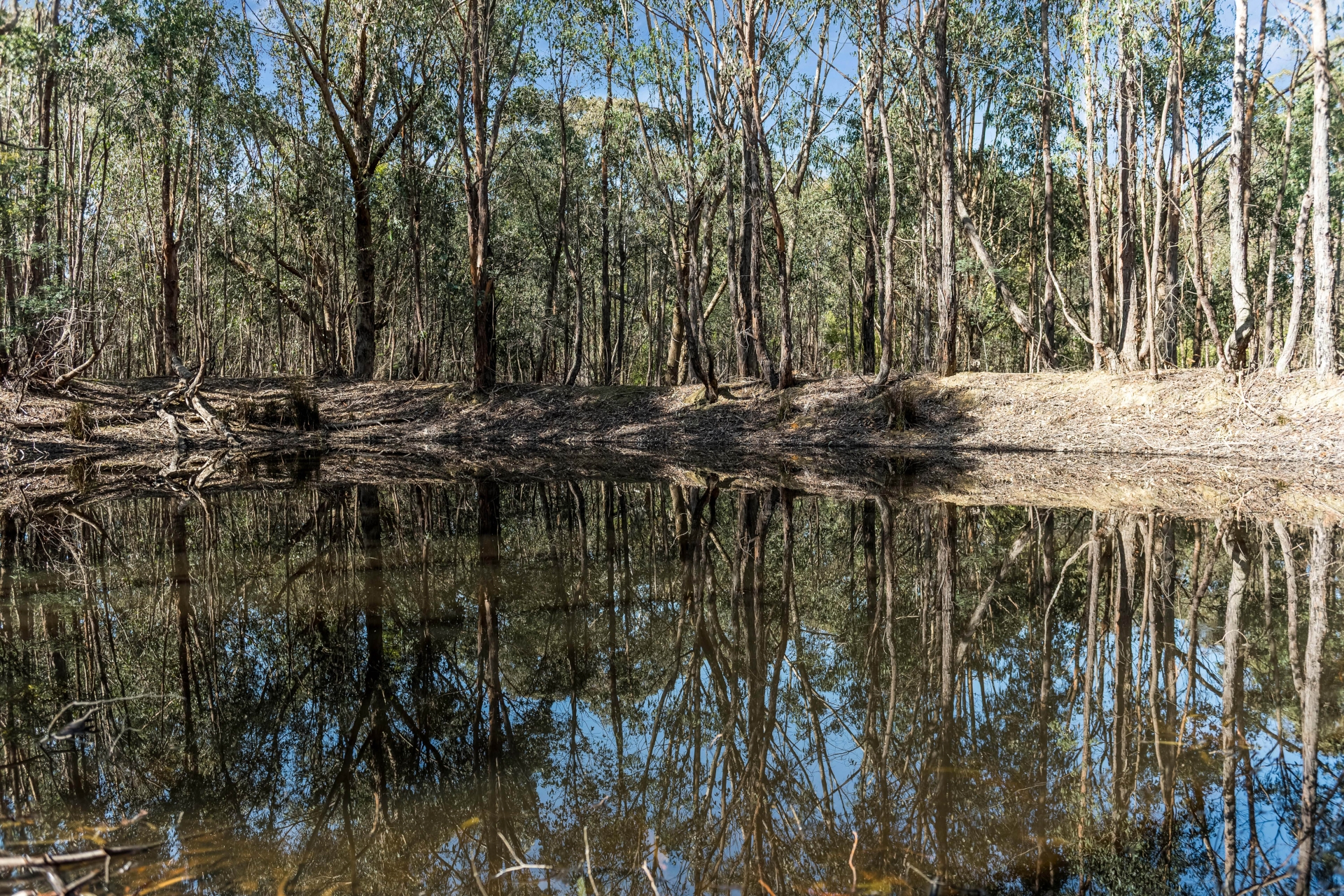 5-bedroom house at 740 Spur Road, Clonbinane, VIC 3658, Mitchell, Victoria