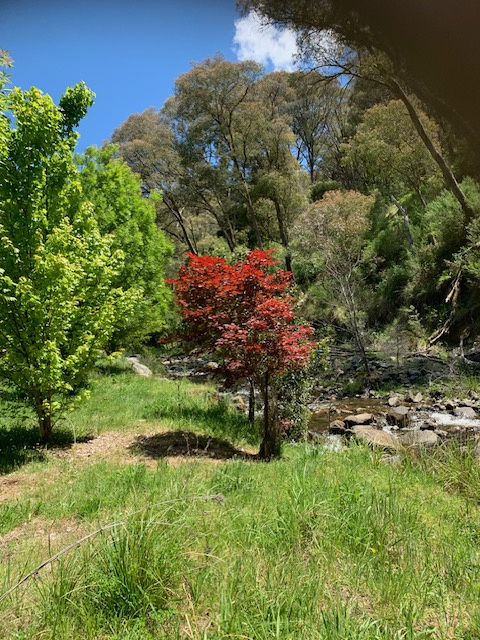 Part 1420 Goobarragandra Road, Tumut, Nsw, 2720 - Image 9