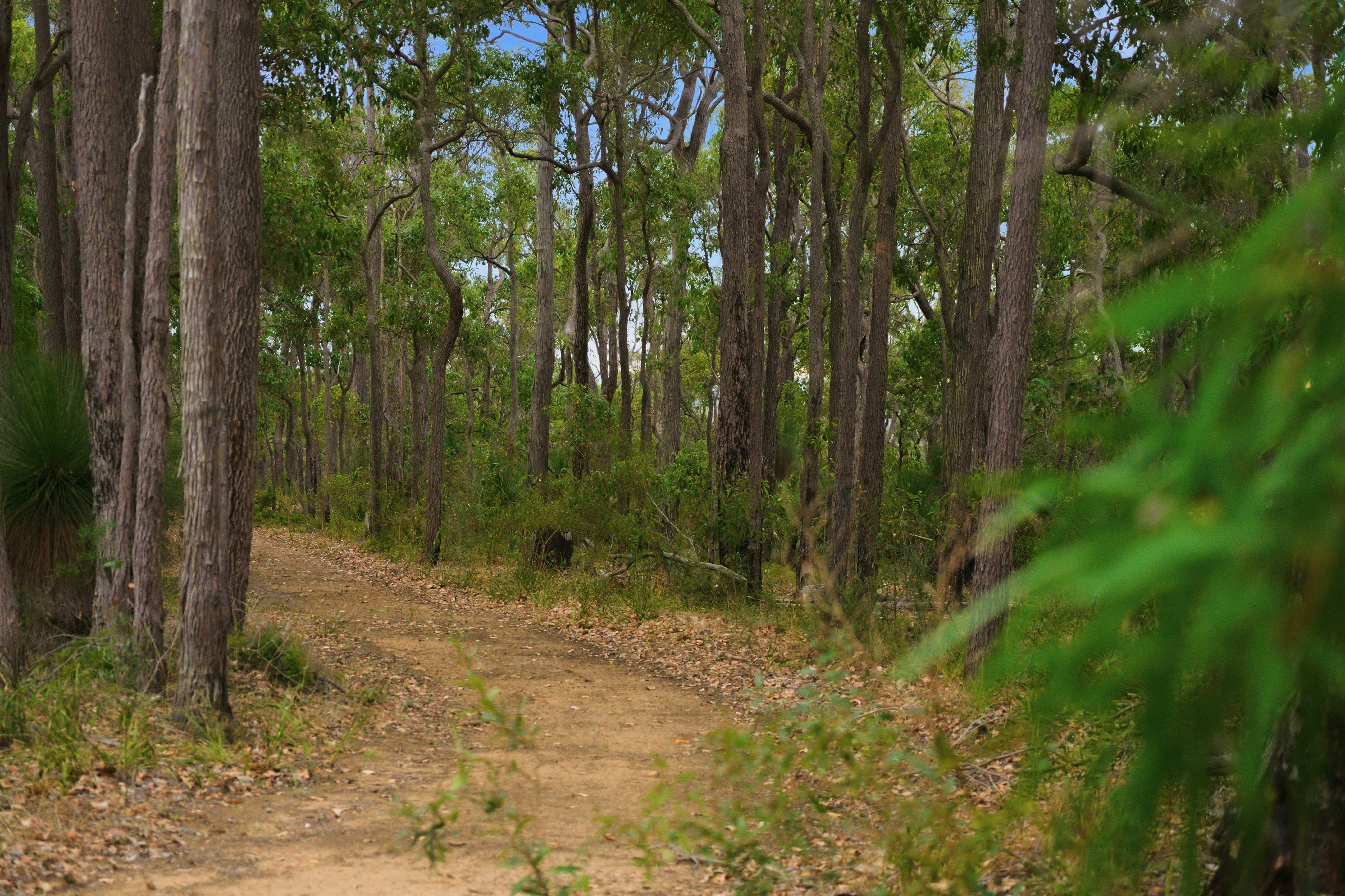 1-bedroom house at 267 Gold Gully Road, East Nannup, WA 6275, Nannup, Western Australia
