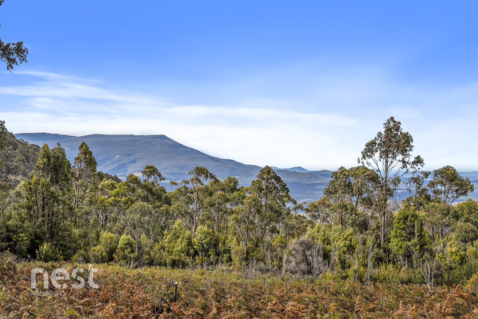 2-bedroom house at 1000 VAN MOREY ROAD, Margate TAS 7054, Kingborough, Tasmania