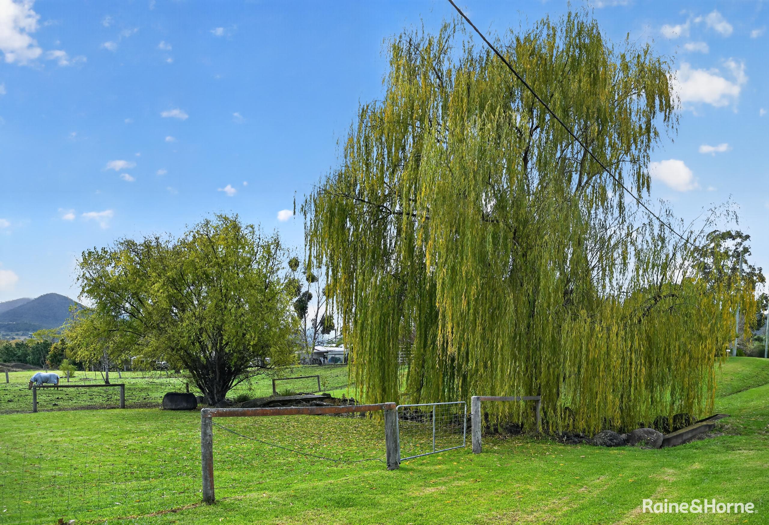 3-bedroom house at 19 CEDAR STREET, Killarney QLD 4373, Southern Downs, Queensland