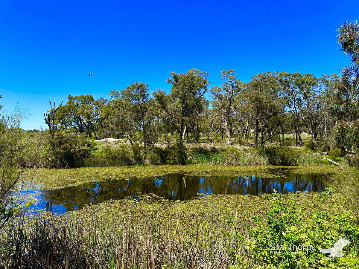 2 Stanthorpe - Texas Road, Stanthorpe, Qld, 4380 - Image 1