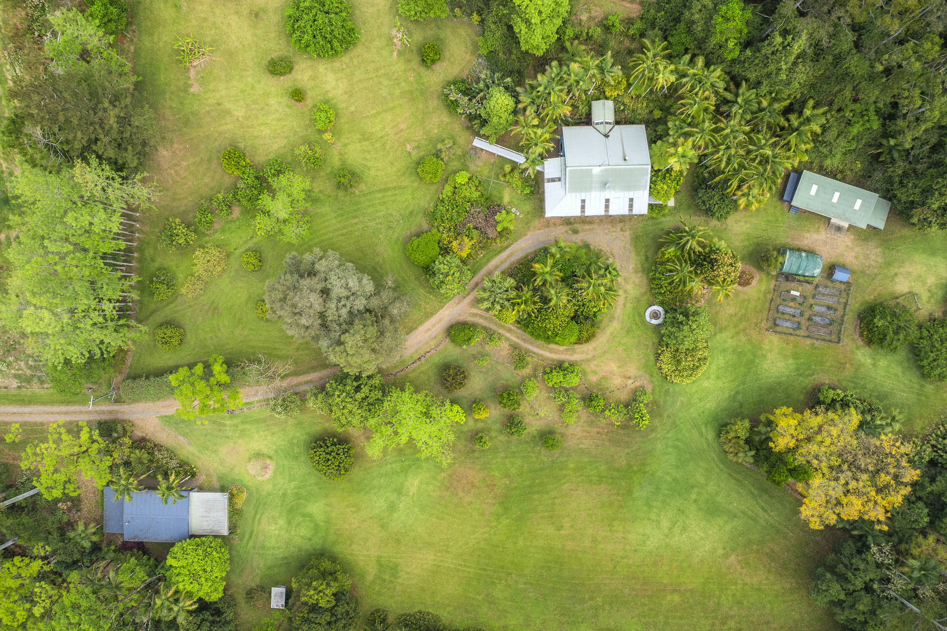 109 Little North Arm Road, Thora, NSW 2454 - Image 5