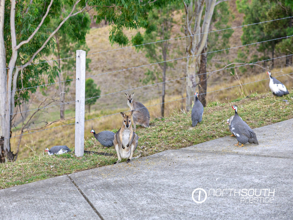 4-bedroom house at 176 Spring Creek Road, Running Creek, QLD 4287, Scenic Rim, Queensland