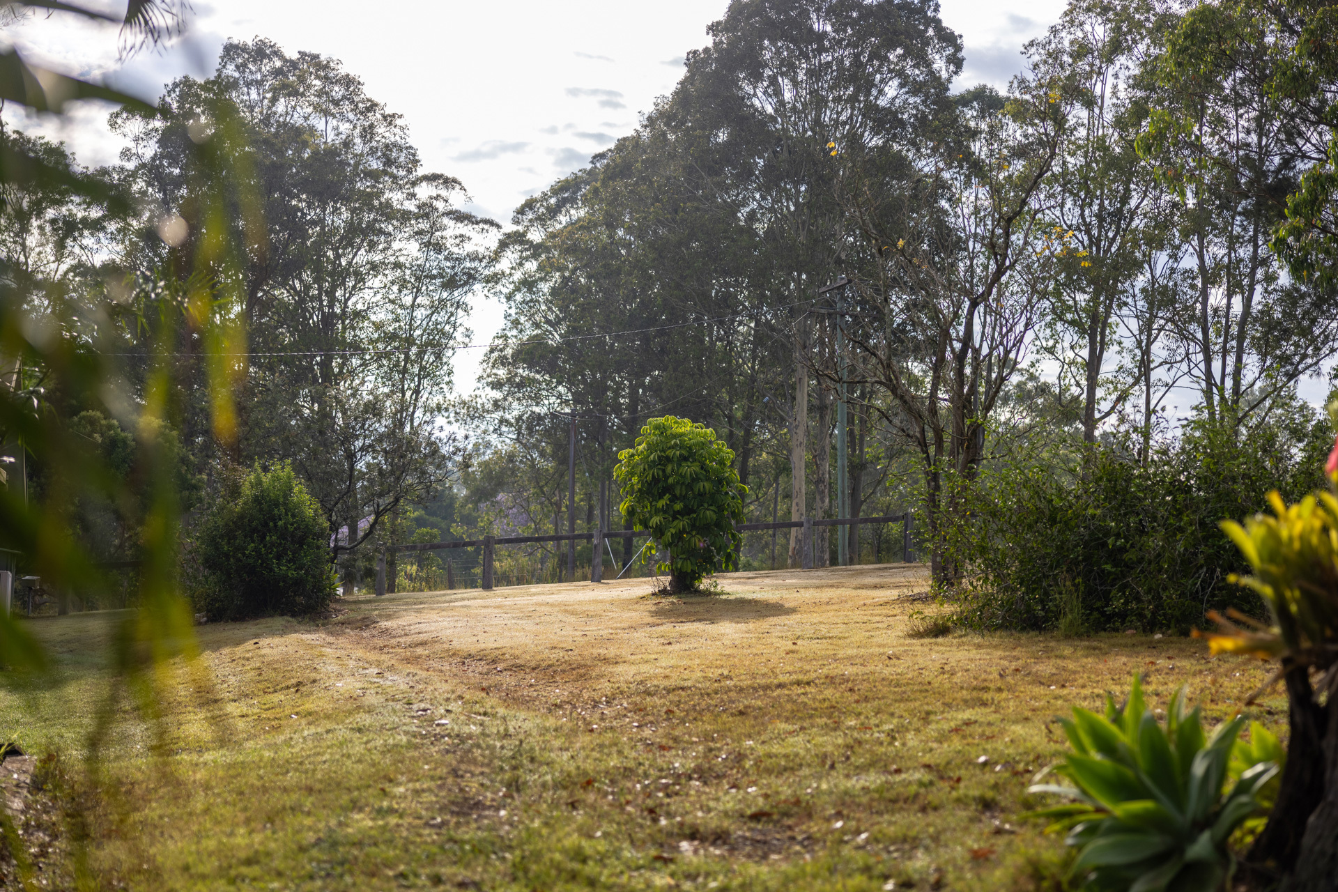 6 Finch Close, Wingham, NSW 2429 - Image 2