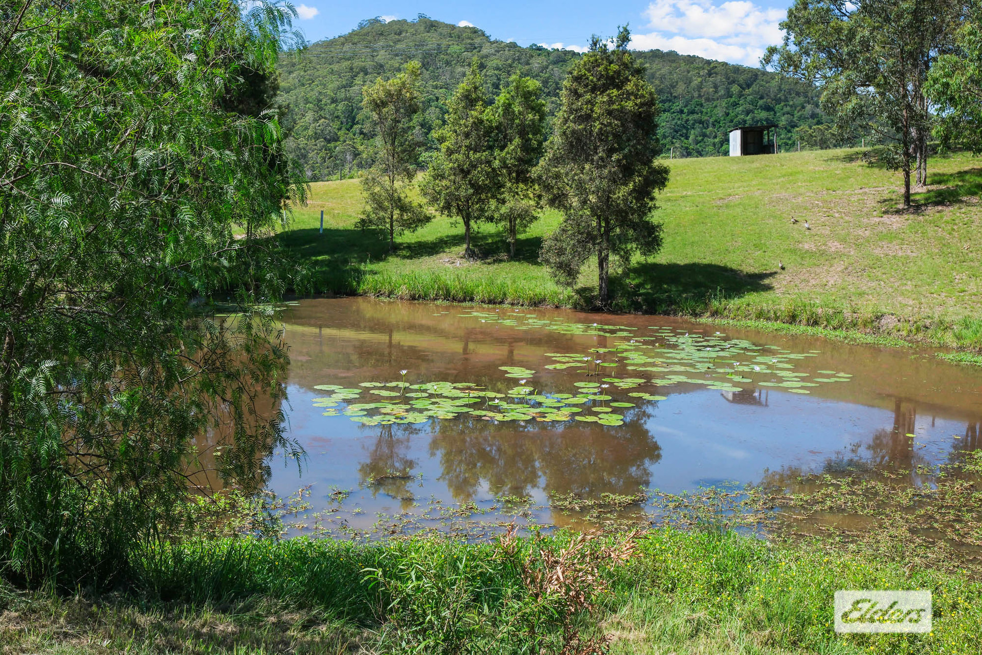 5-bedroom house at 3598 THE BUCKETTS WAY, Krambach NSW 2429, Mid-Coast, New South Wales