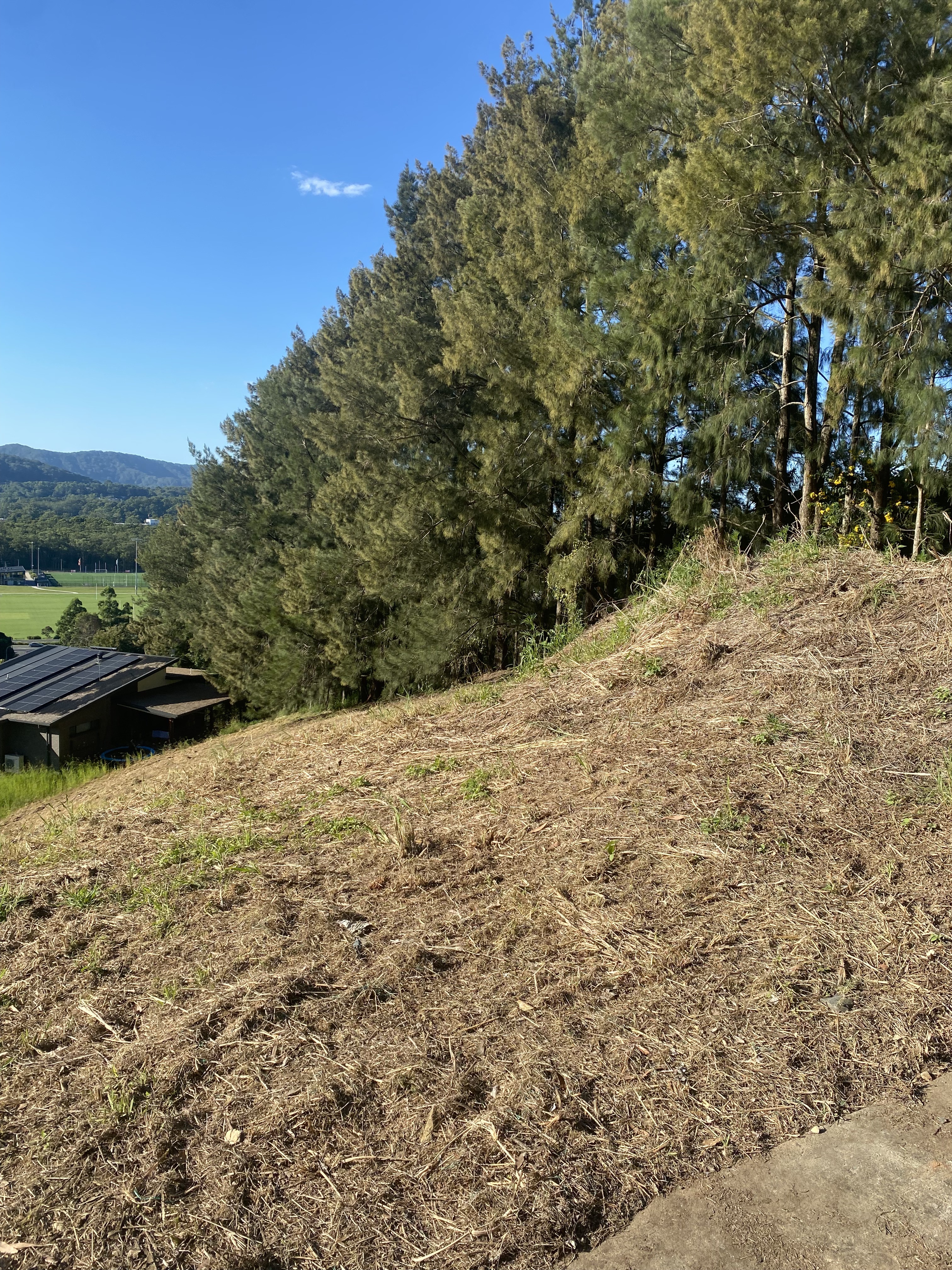 51 Song Trail, Coffs Harbour, Nsw, 2450 - Image 6