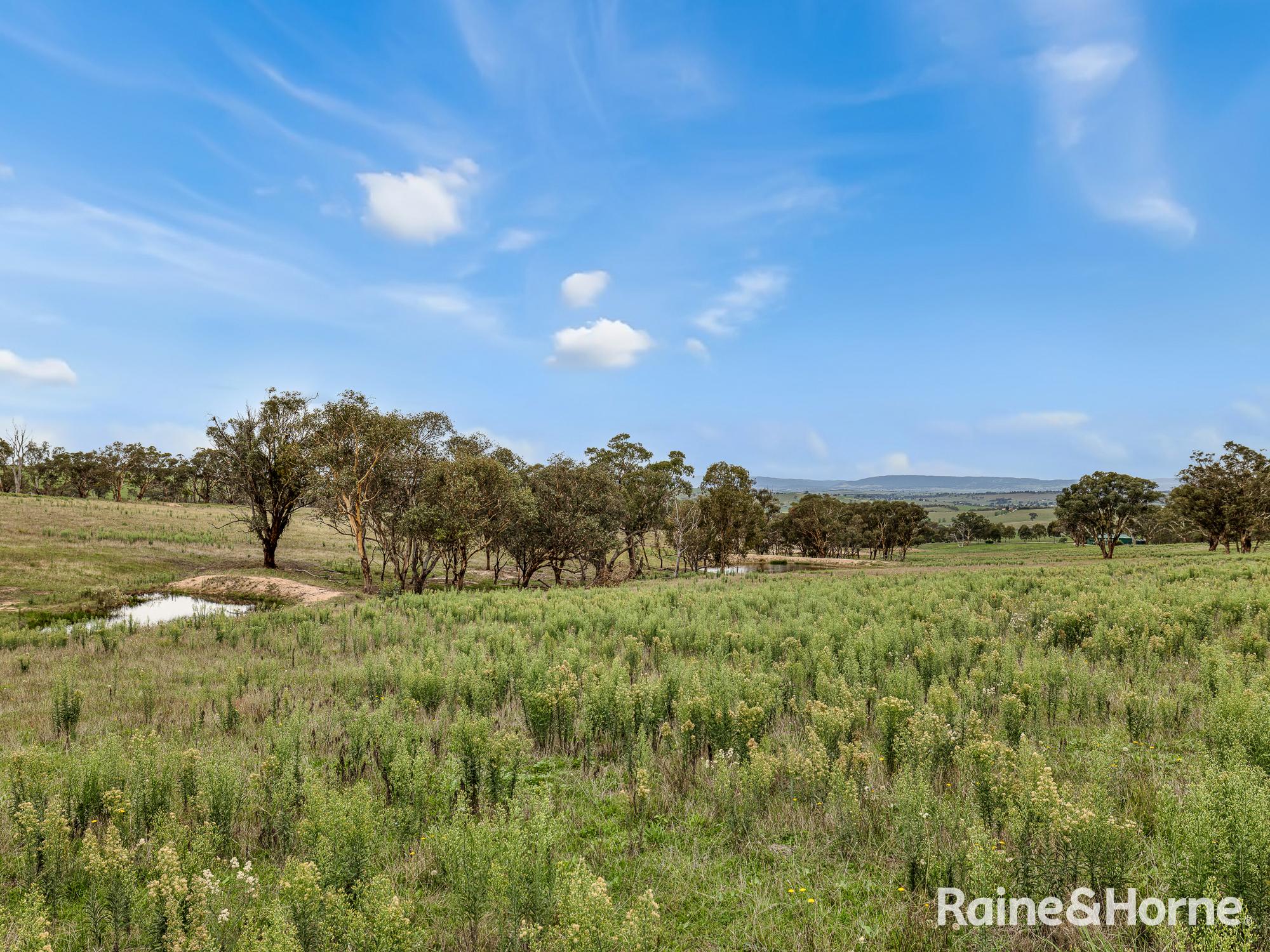 5-bedroom house at 223 Wimbledon Road, Georges Plains, NSW 2795, Bathurst, New South Wales