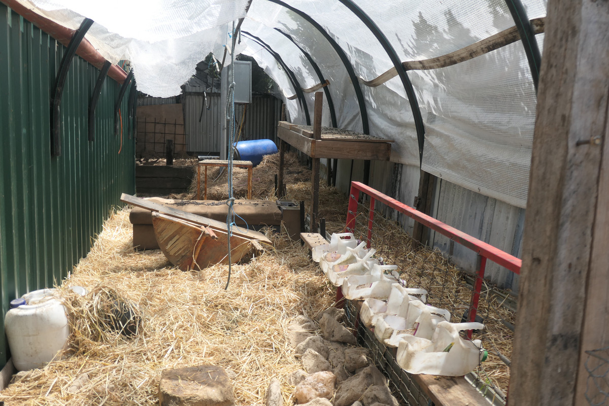 1-bedroom unit at 12 Lyons Street, Rappville, NSW 2469, Richmond Valley, New South Wales