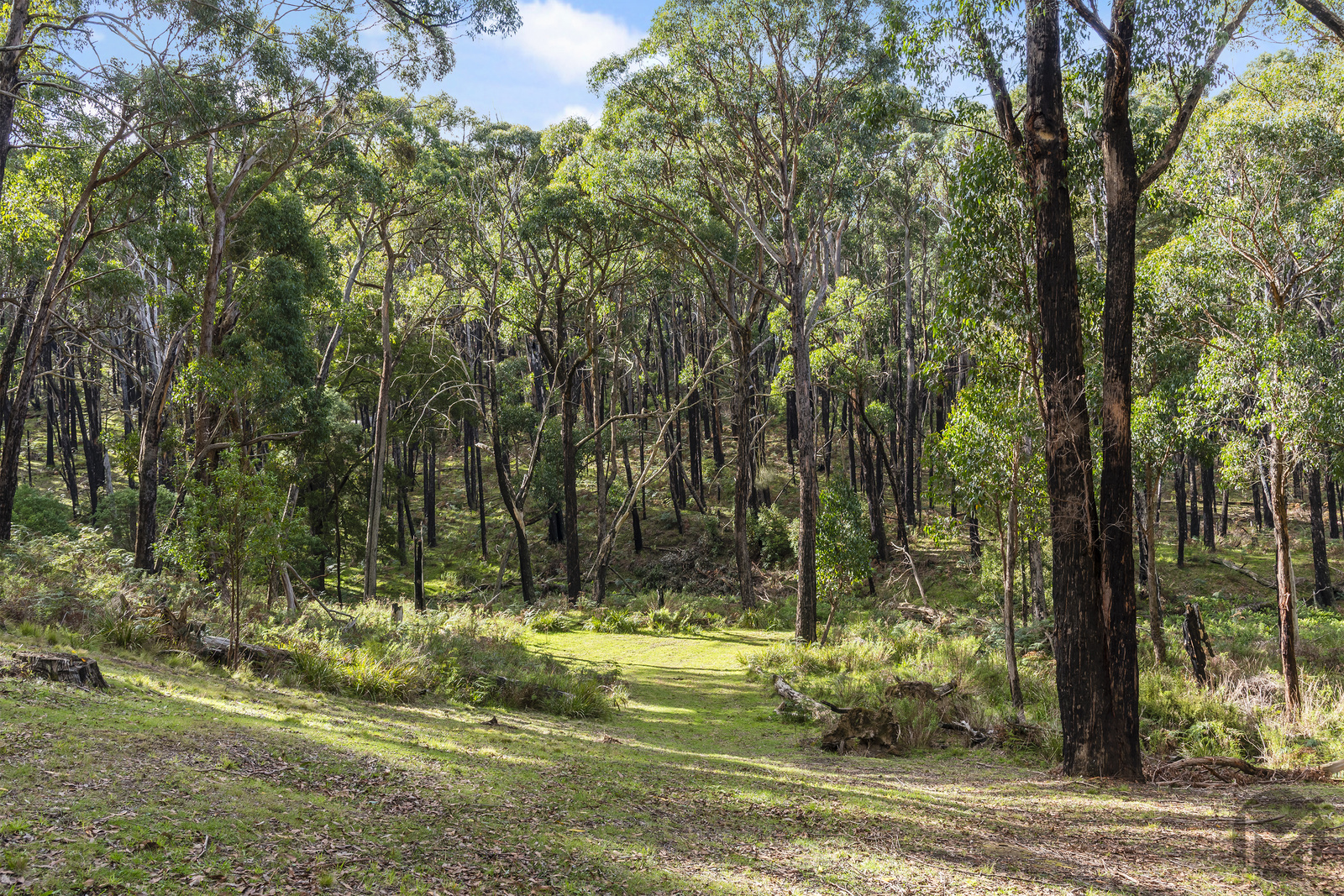 3-bedroom house at 71 Long Ryans Road, Benloch, VIC 3435, Macedon Ranges, Victoria