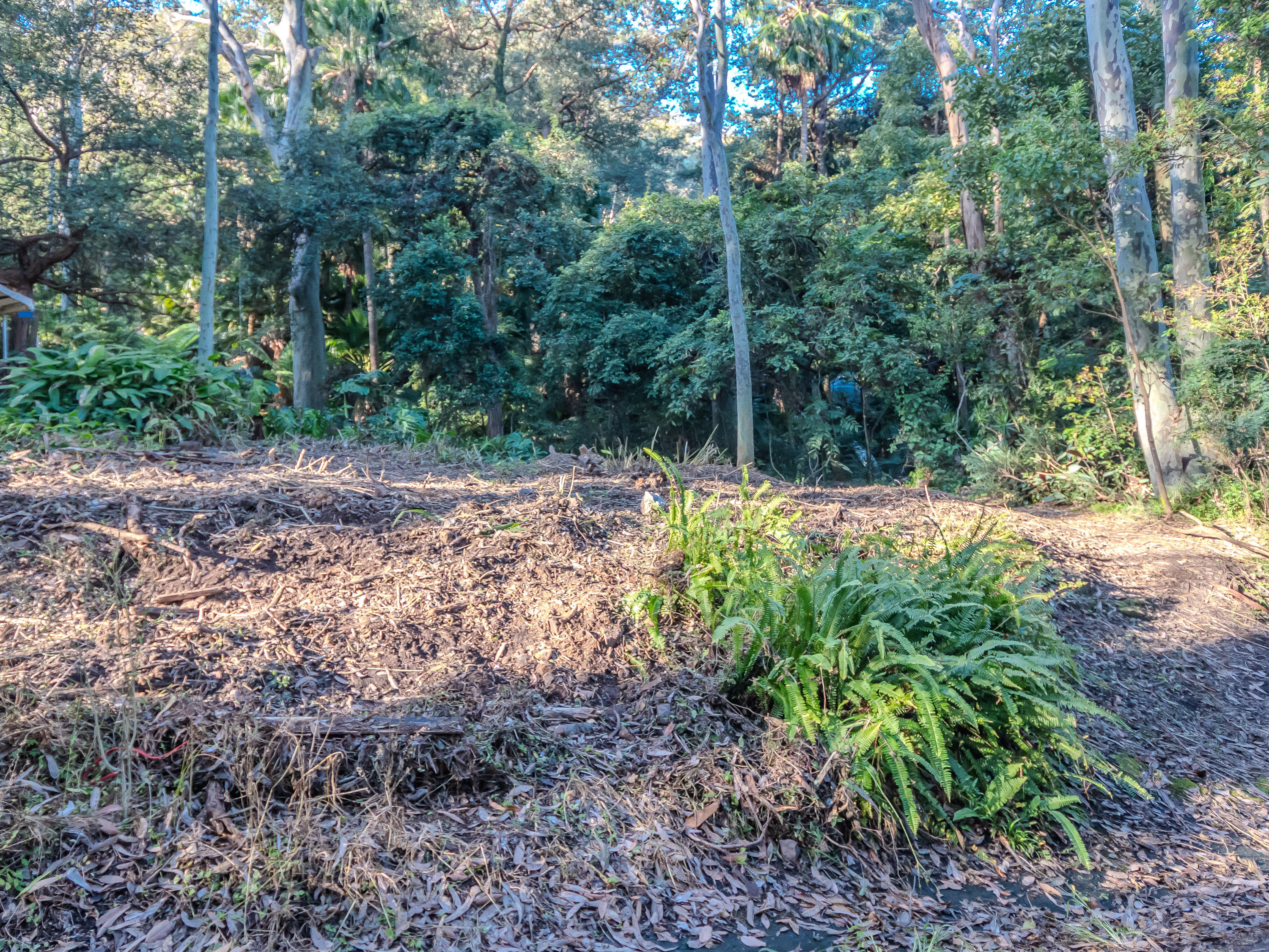 56 Richard Road, Scotland Island, Nsw, 2105 - Image 2