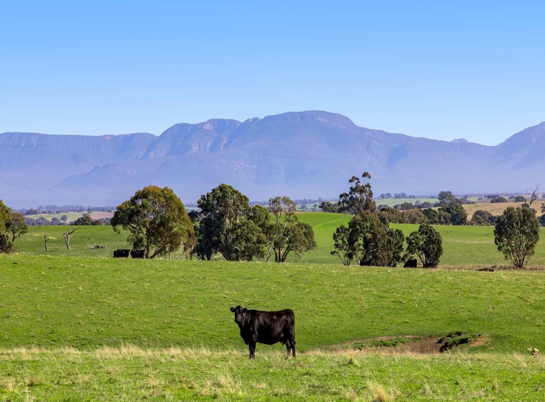 1-bedroom unit at 940 Ballarat-Carngham Road, Cardigan, VIC 3352, Ballarat, Victoria