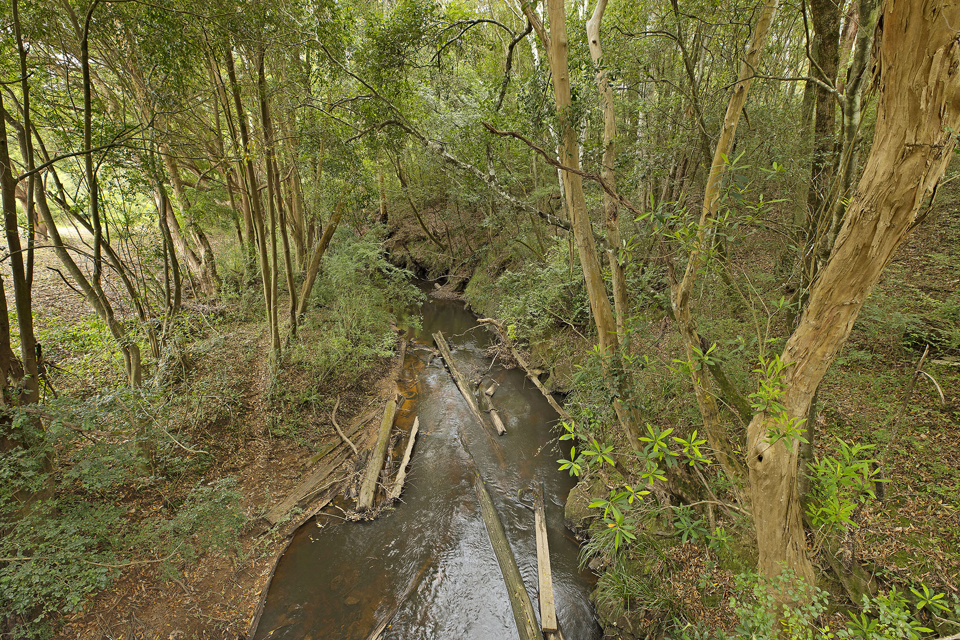 1-bedroom house at 1519 Yarramalong Road, Yarramalong, NSW 2259, , New South Wales