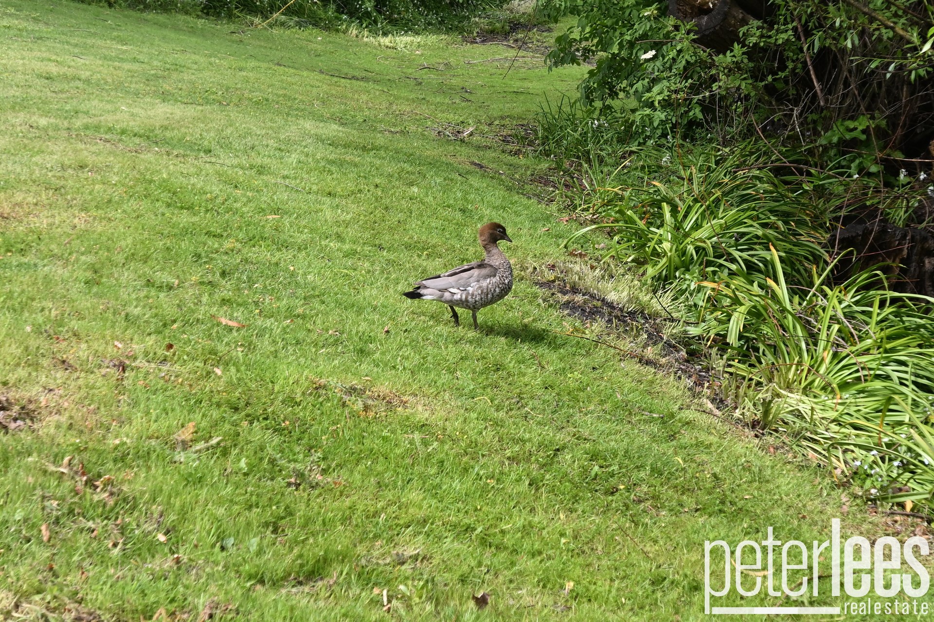 3-bedroom house at 12 Main Road, Lanena, Tas, 7275, West Tamar, Tasmania