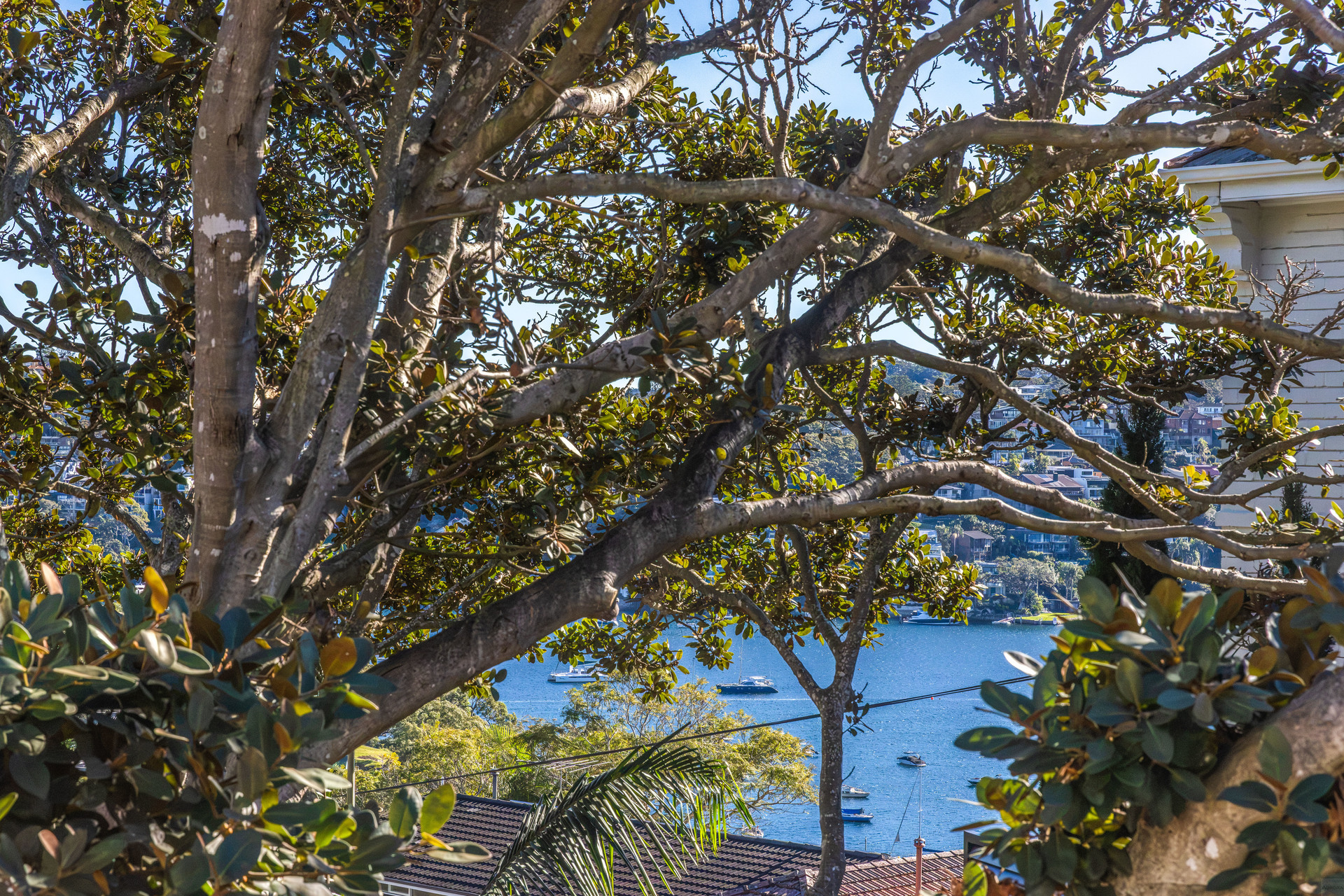 Unit 3 2 Ida Avenue, Mosman NSW 2088 - Image 9