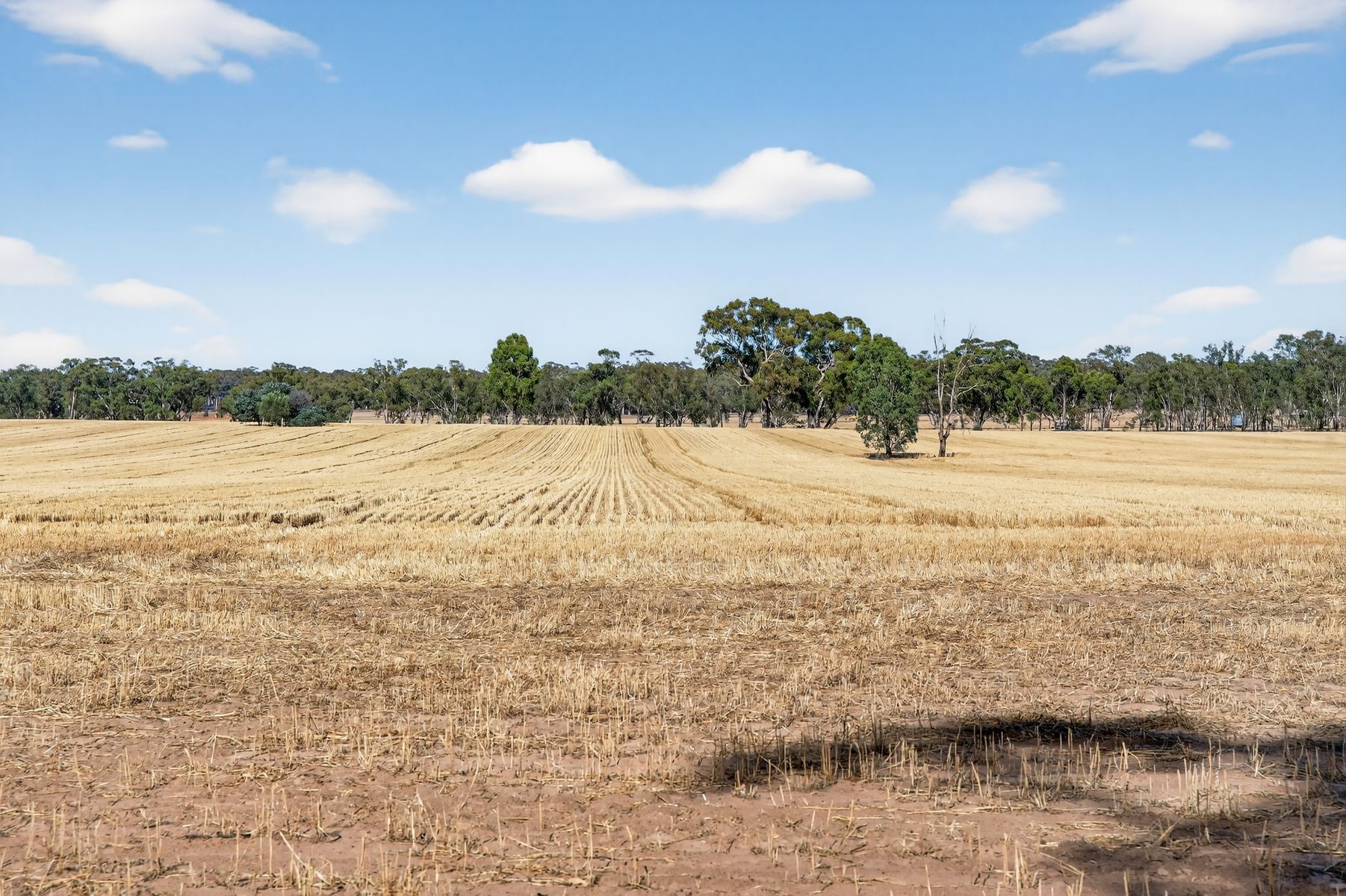 99 Winzar Lane, Goornong, Vic, 3557 - Image 3