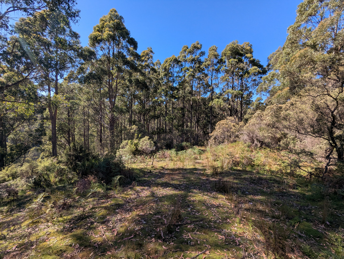 3 Nicholls Rivulet Road, Nicholls Rivulet, Tas, 7112 - Image 3