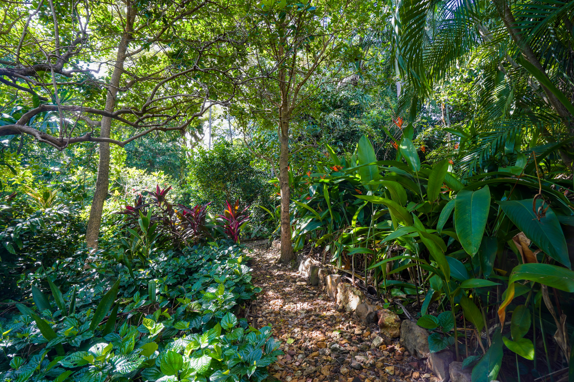 3-bedroom house at 34 WELLS STREET, Ludmilla NT 0820, Darwin, Northern Territory