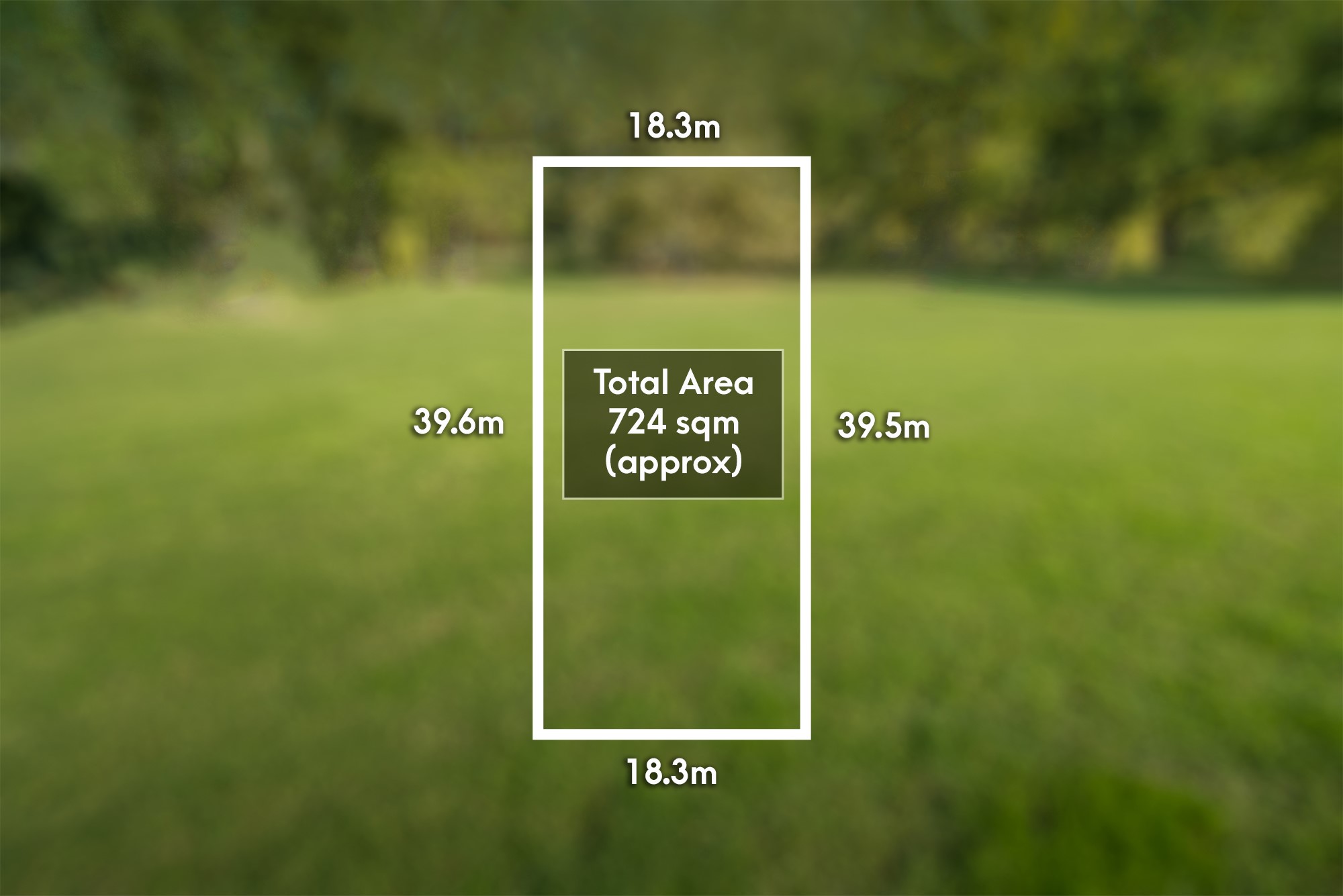 32 CAMPBELL STREET, Brighton VIC 3186 - Image 4