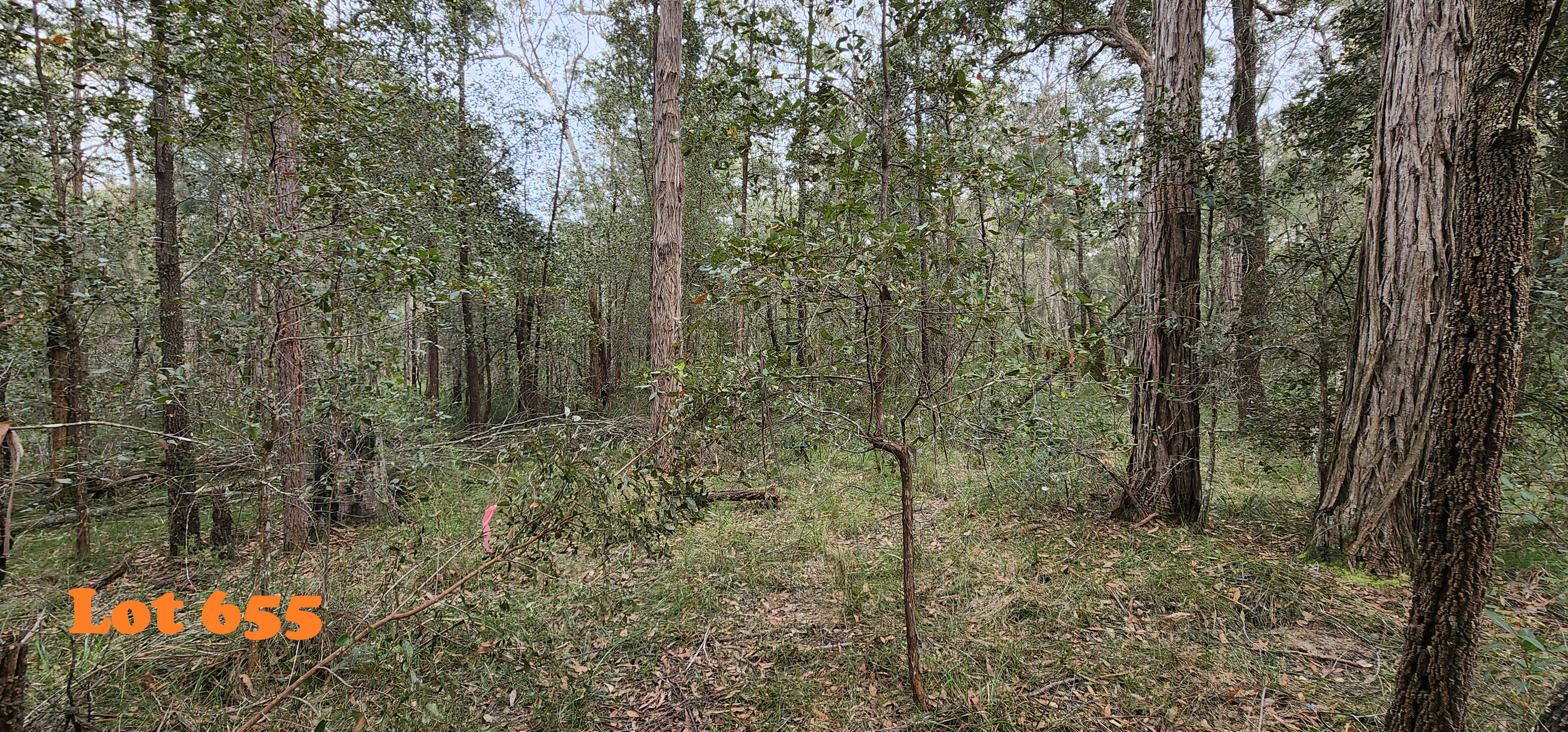 Lot 655,658,660-661, 663 Clarendon Cres, Basin View, Nsw, 2540 - Image 10