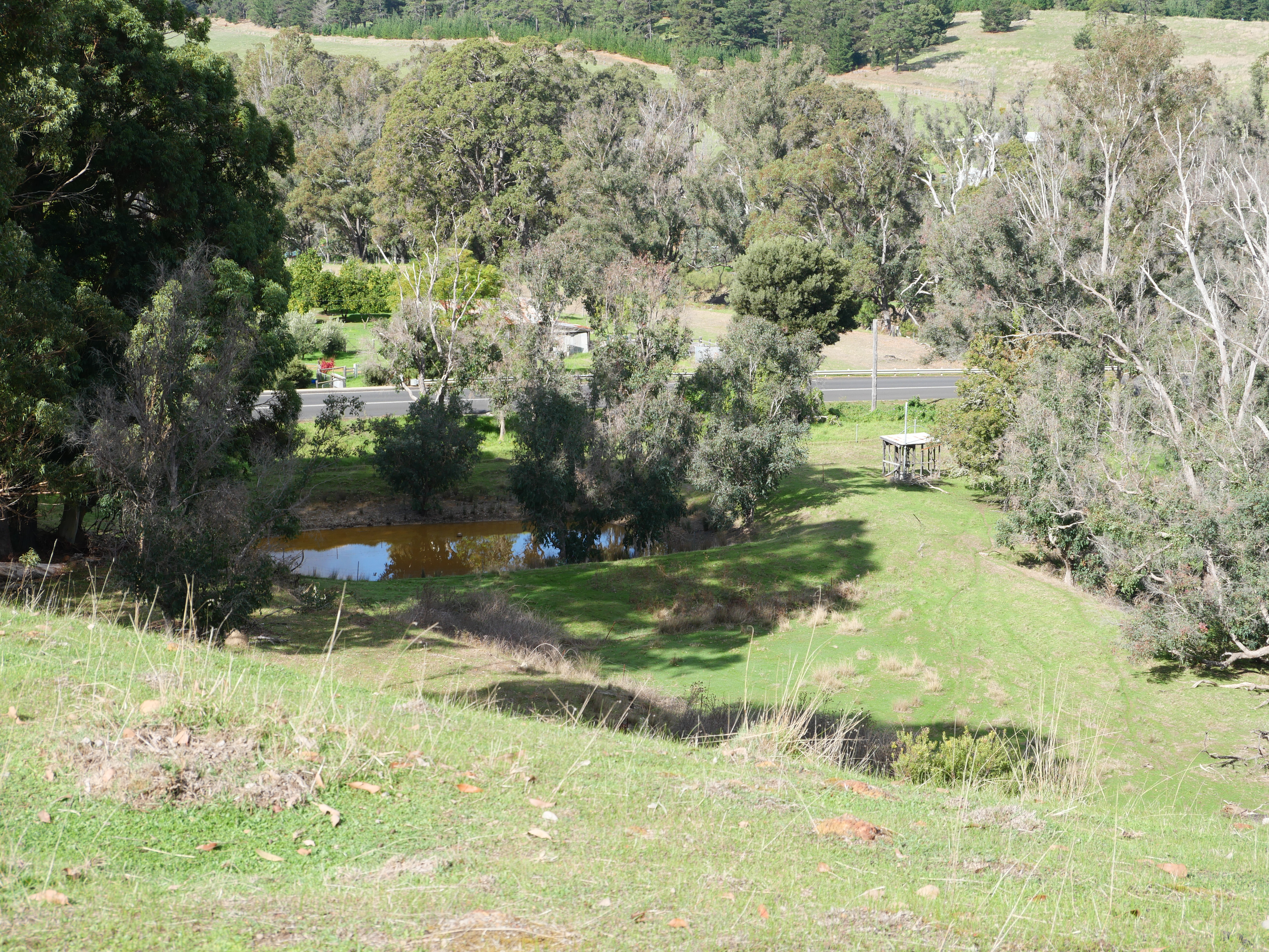 Lot 140 Vasse Highway, Nannup, Wa, 6275 - Image 8