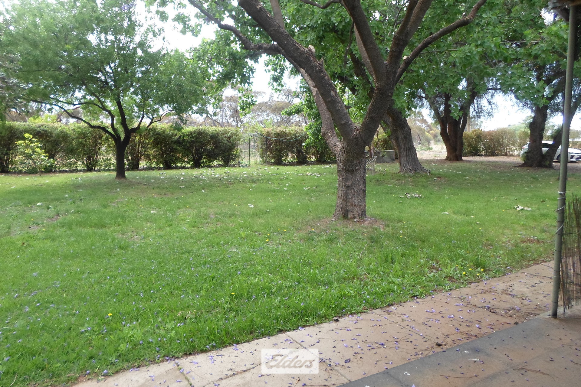 5-bedroom house at 346 Tol Tol Road, Robinvale, Vic, 3549, Swan Hill, Victoria