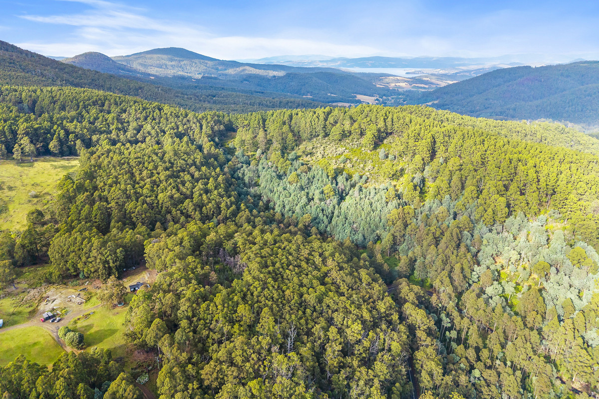 3 Nicholls Rivulet Road, Nicholls Rivulet, Tas, 7112 - Image 8