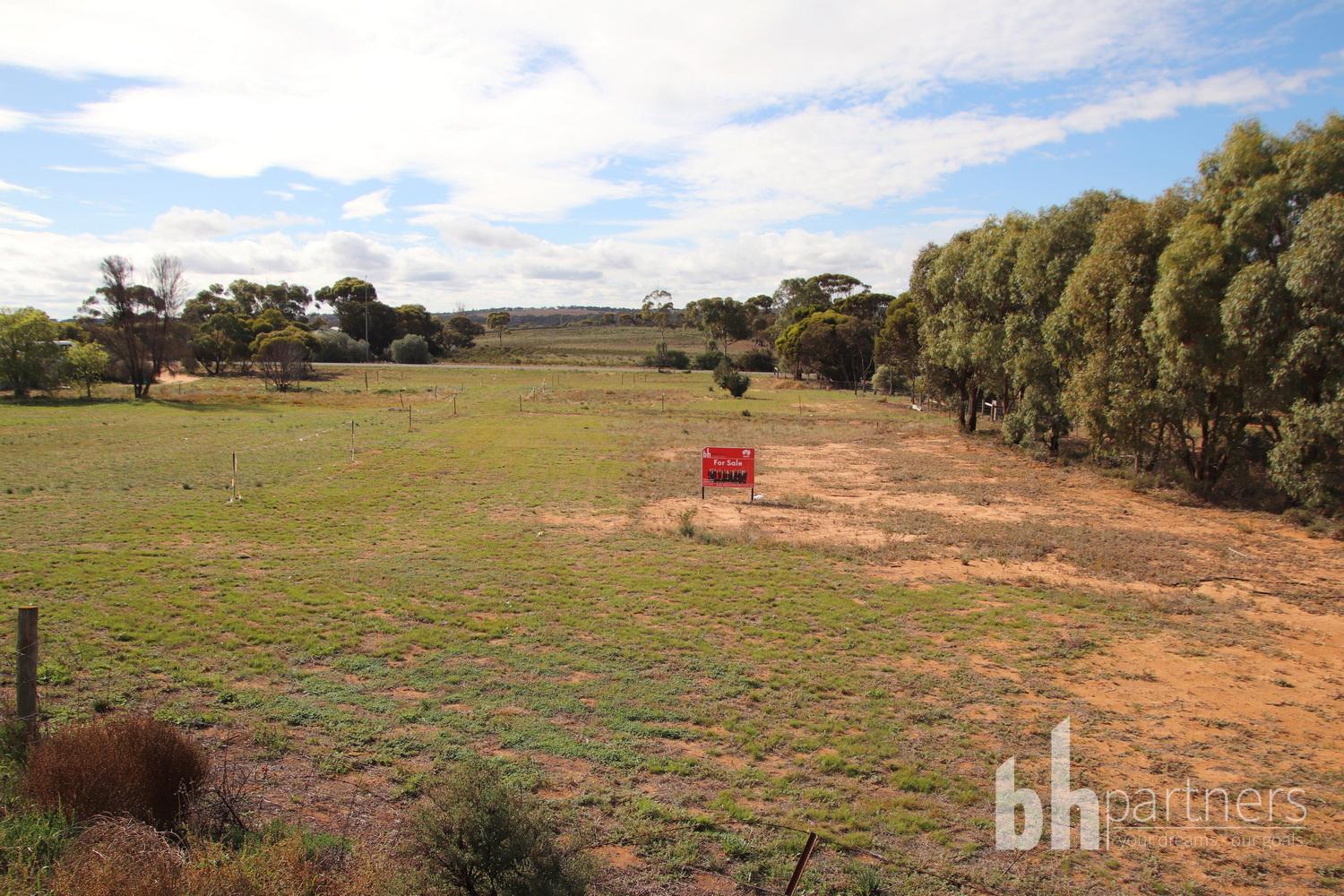 145 Dollard Avenue, Mannum, Sa, 5238 - Image 1