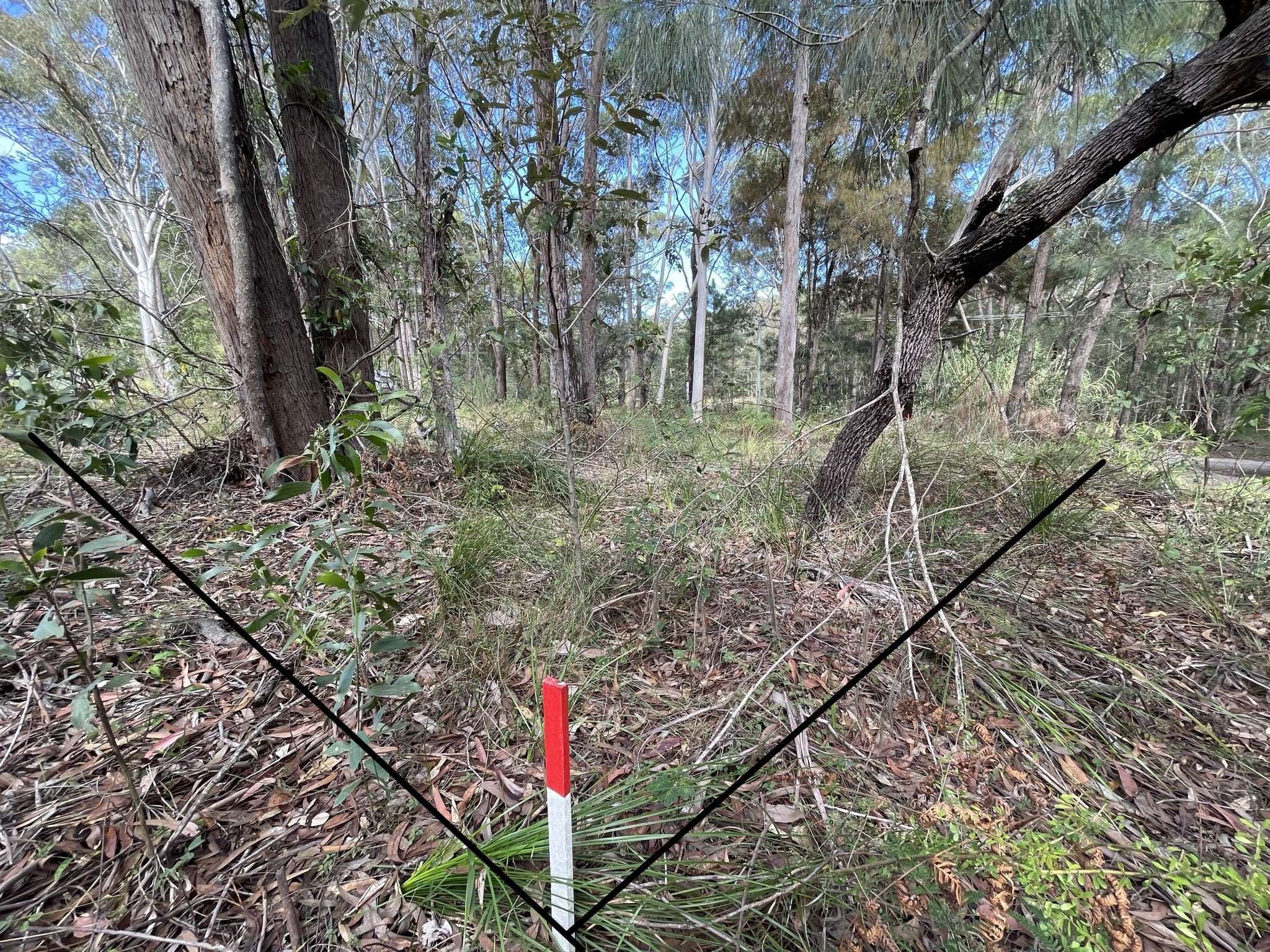 2 Canopy Crescent, Russell Island, Qld, 4184 - Image 6
