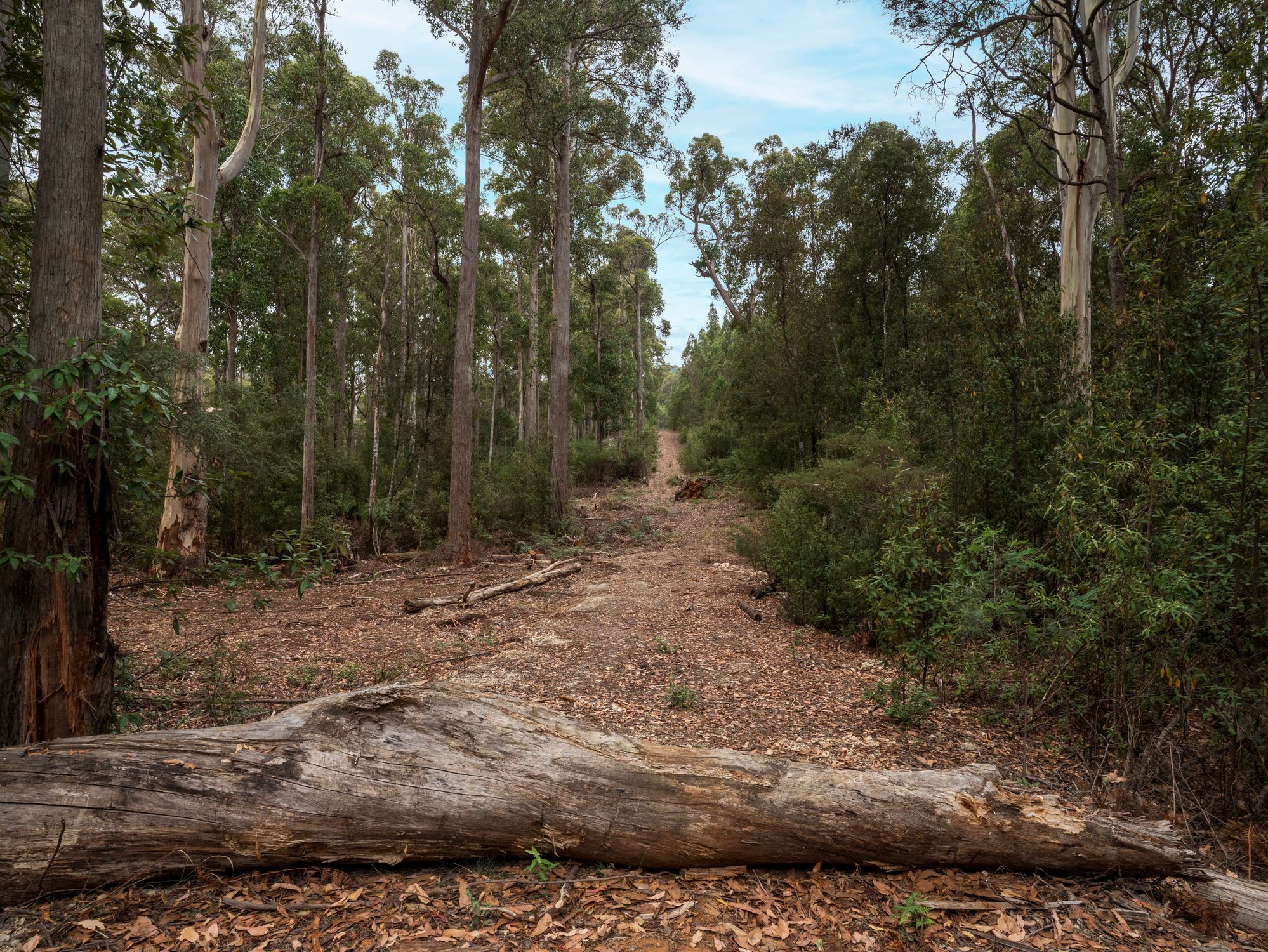 1-bedroom house at 167 LAKE BARRINGTON ROAD, Wilmot TAS 7310, Kentish, Tasmania