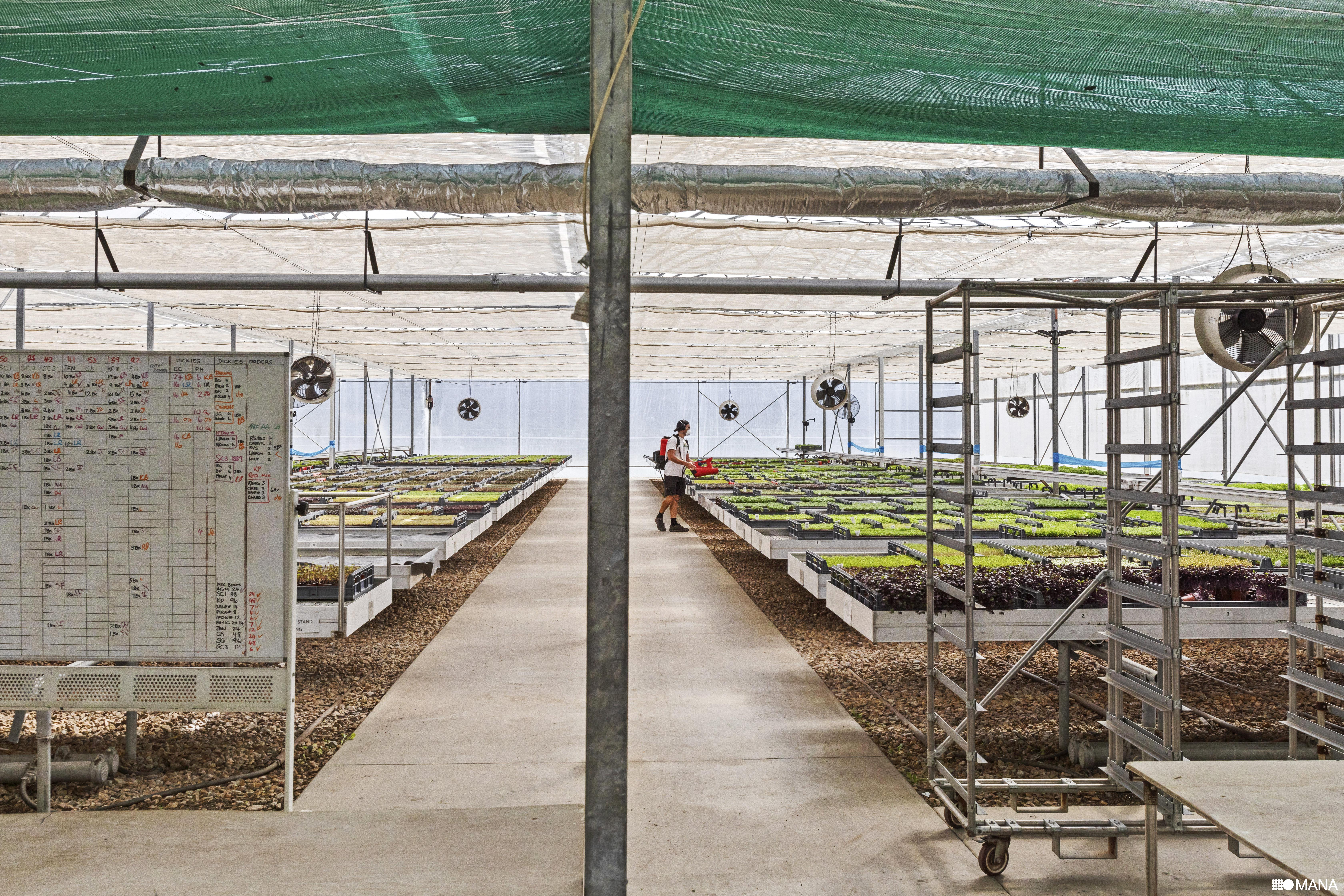 4-bedroom house at 67 Howards Road, Burringbar, NSW 2483, Tweed, New South Wales