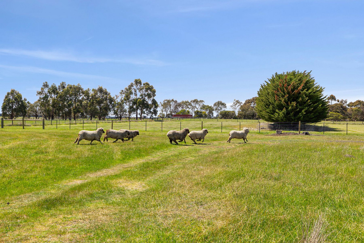 3430 Princes Highway, Winchelsea, VIC 3241 - Image 8