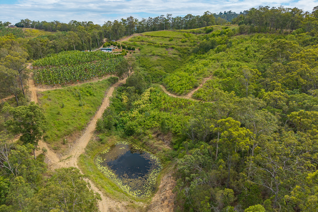 349 Jackson Road, Wamuran, Qld, 4512 - Image 6
