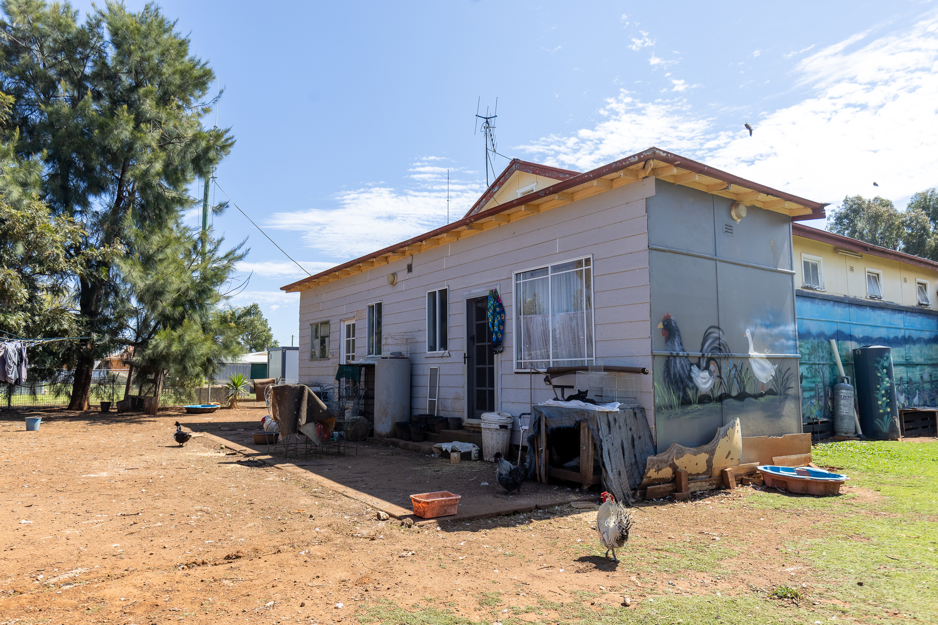 28 DIGILAH STREET, Dunedoo NSW 2844 - Image 4