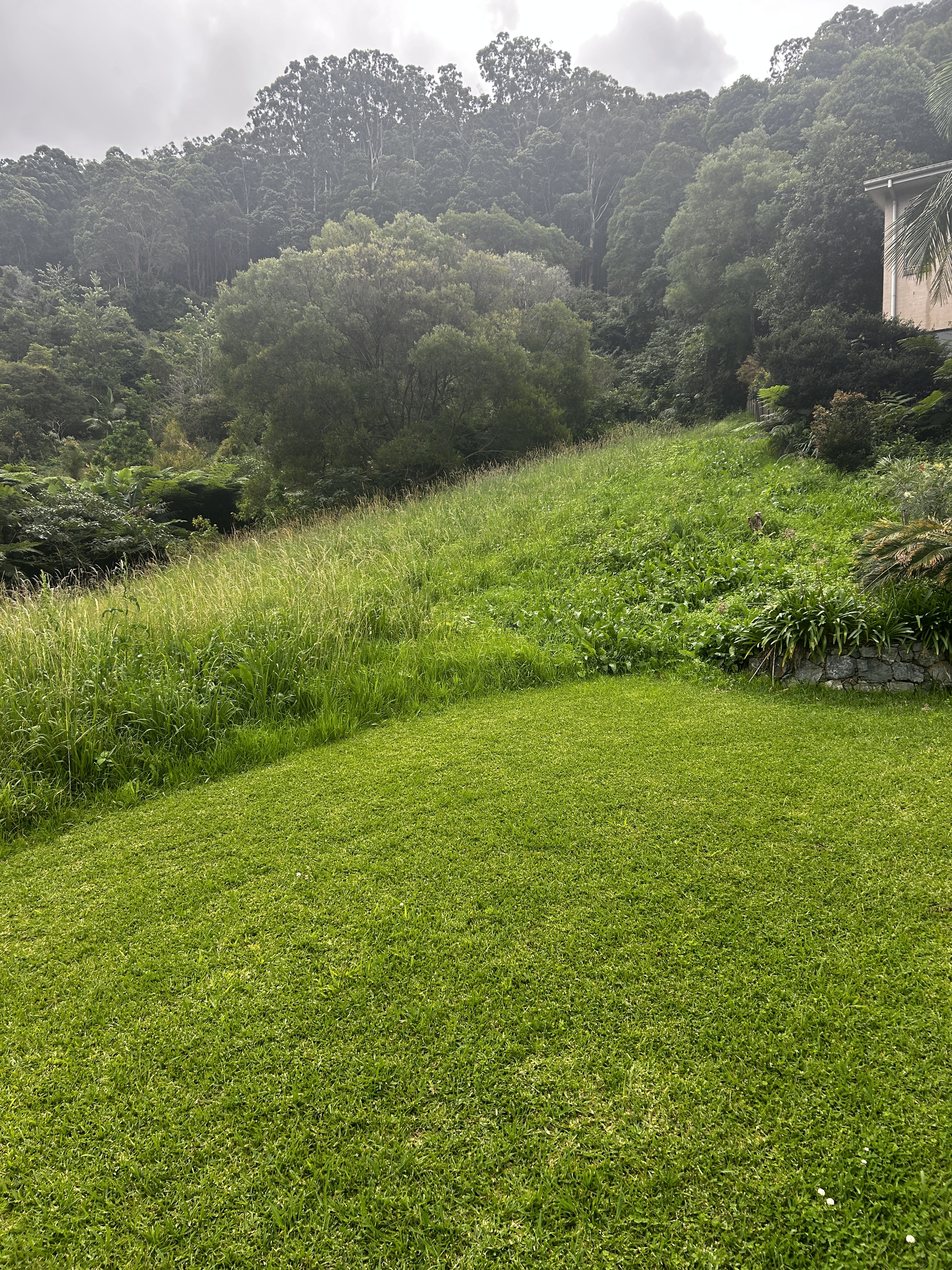 8 Gallagher Place, Coffs Harbour, NSW 2450 - Image 1