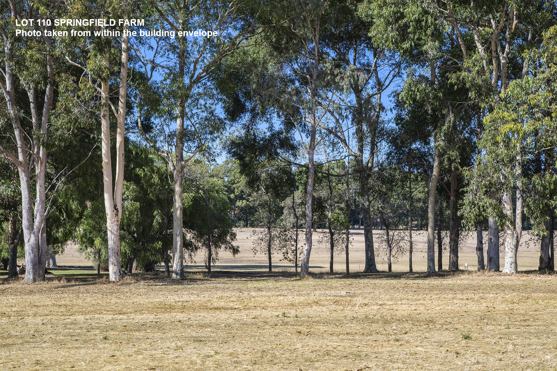 110 Springfield Farm, Yallingup, Wa, 6282 - Image 5