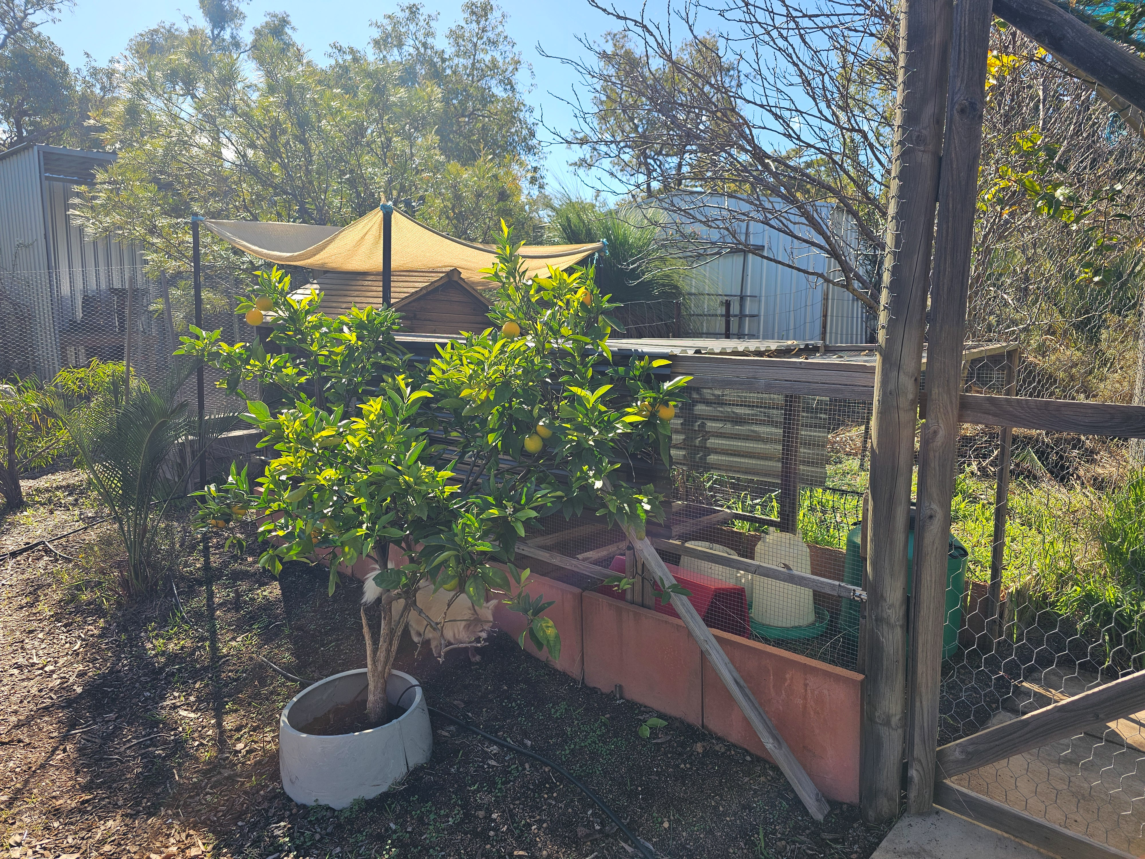 6-bedroom house at 55 Blackboy Way, Morangup, WA 6083, Toodyay, Western Australia