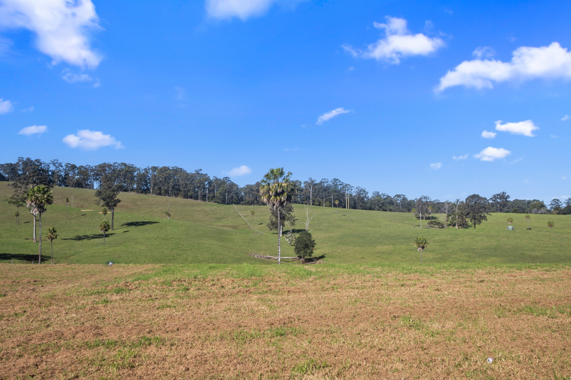Lots 4-11 Soldier Settlers Road, Newee Creek, Nsw, 2447 - Image 8